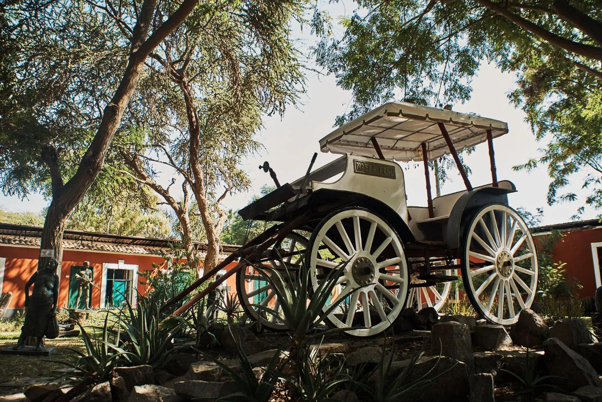 Garden in Hotel Majoro