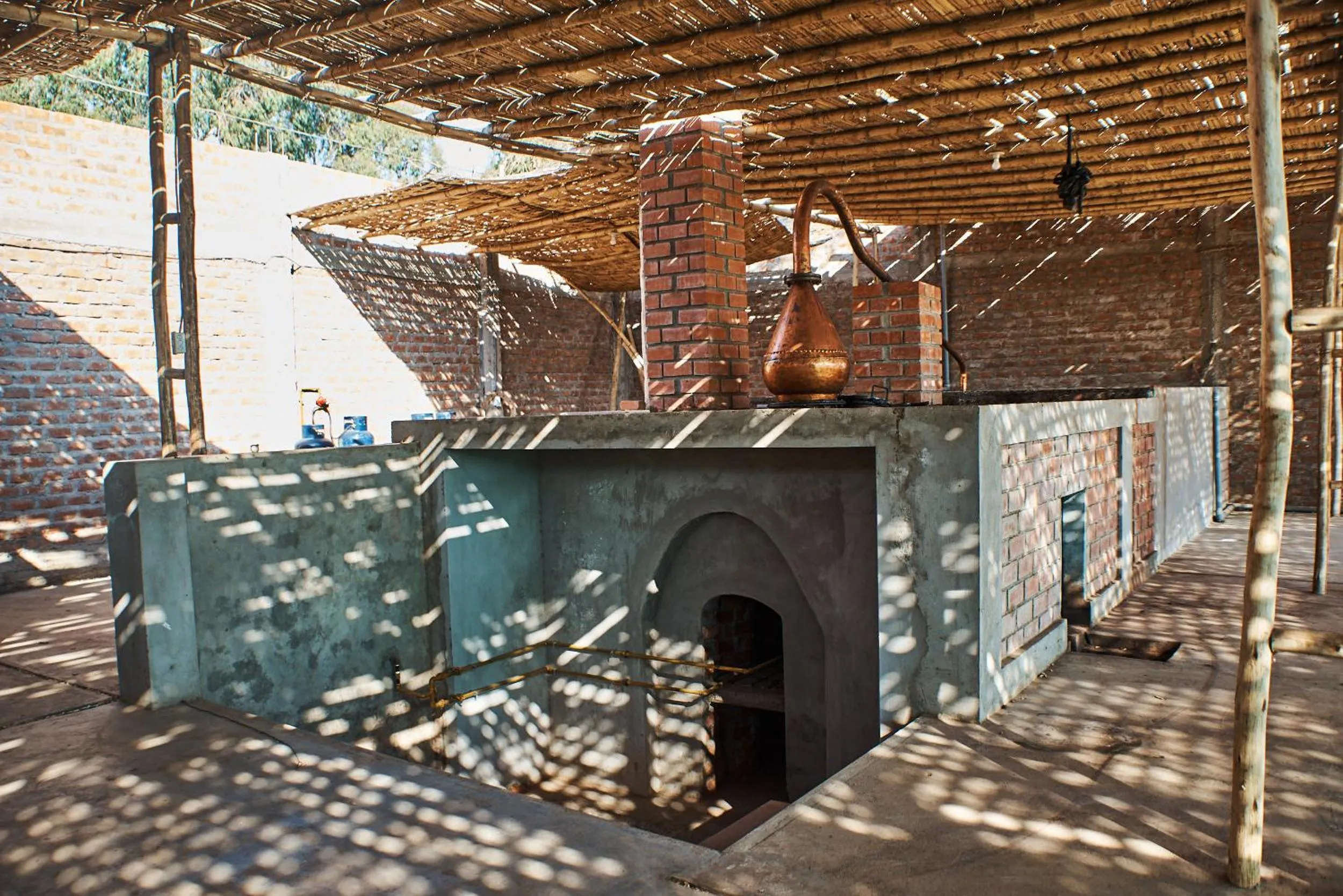 Activities in Hotel Majoro