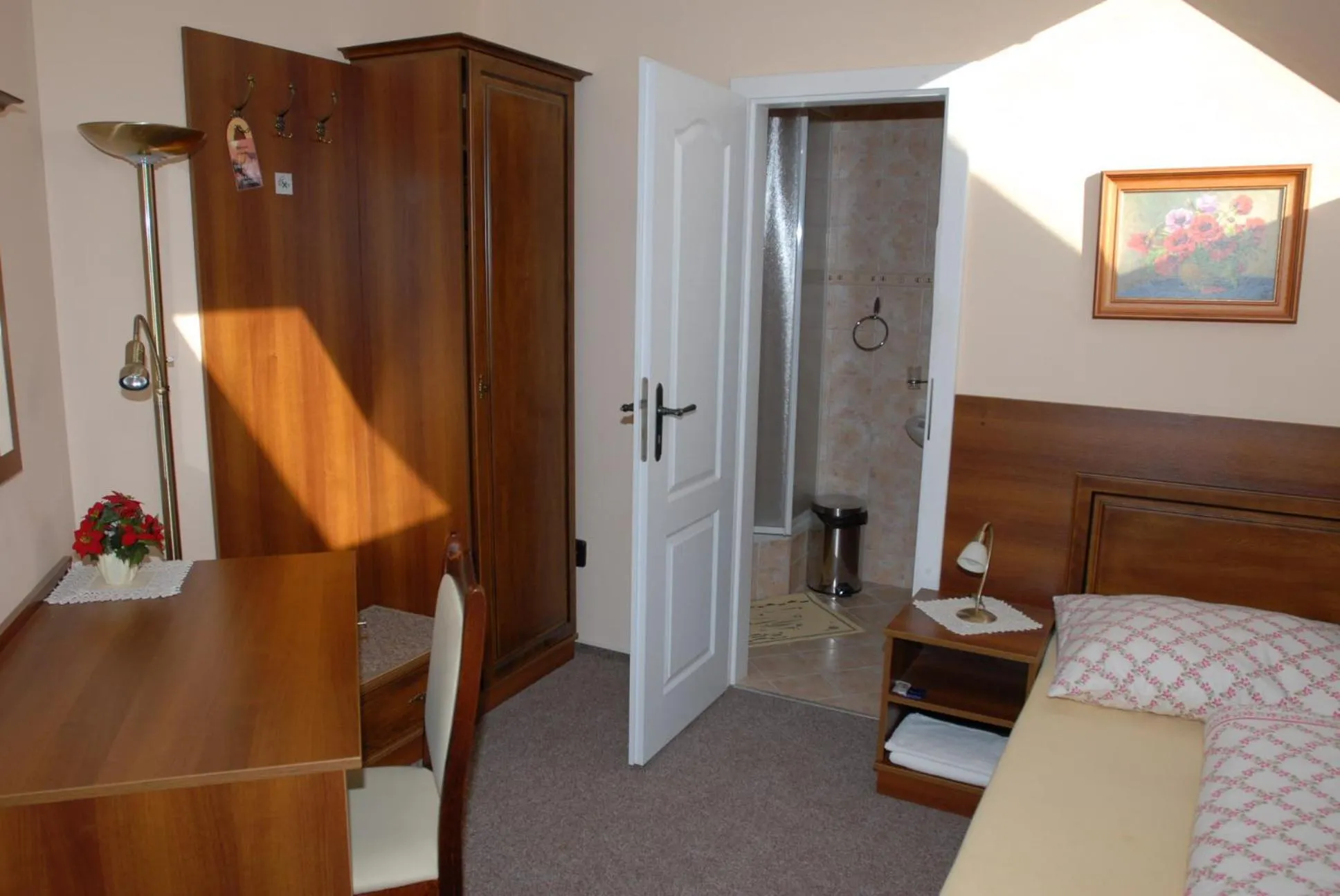 Single Room - single occupancy in Penzion Charlie