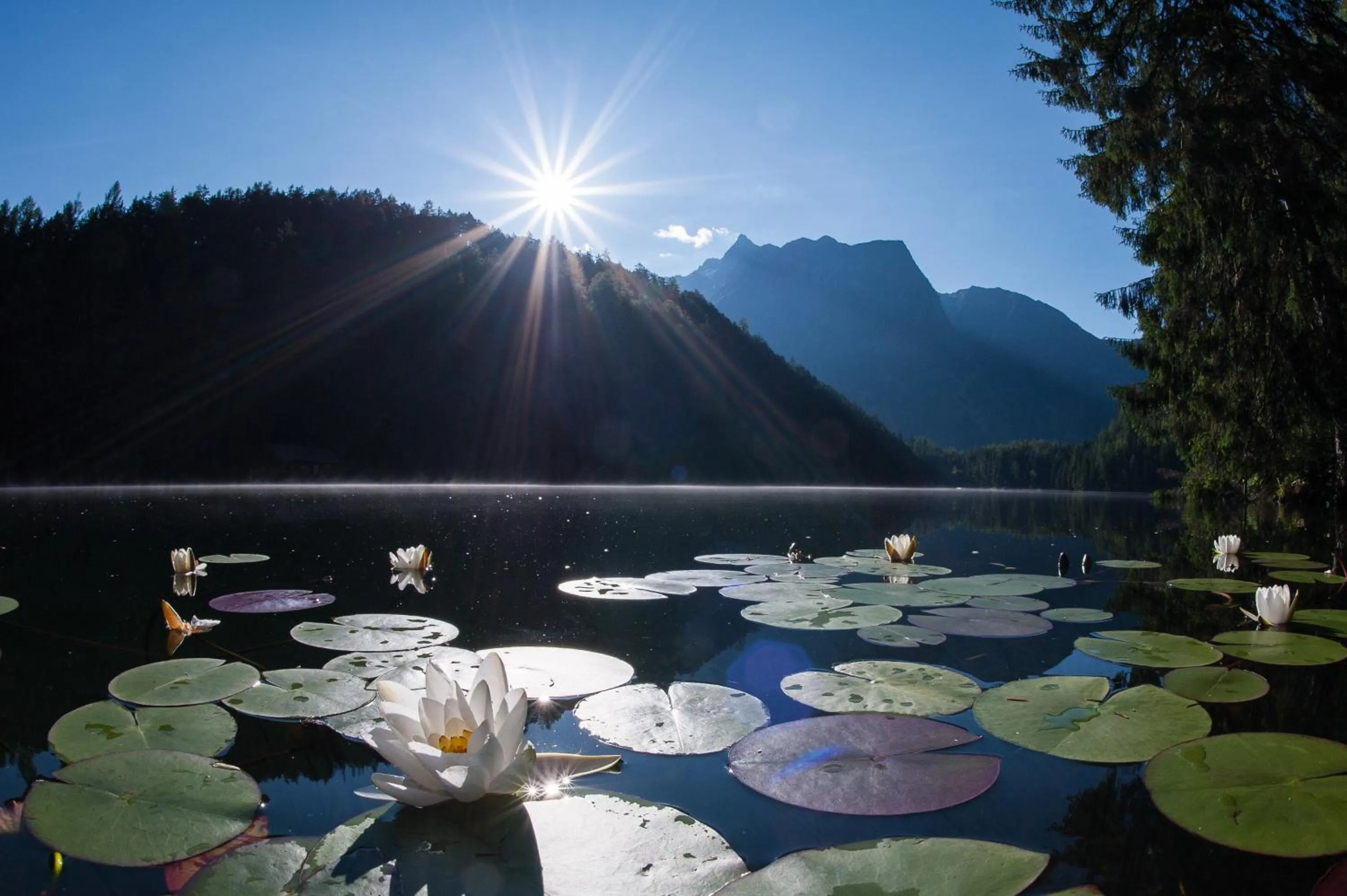 Nearby landmark in Easy Living Apartment Ötztal