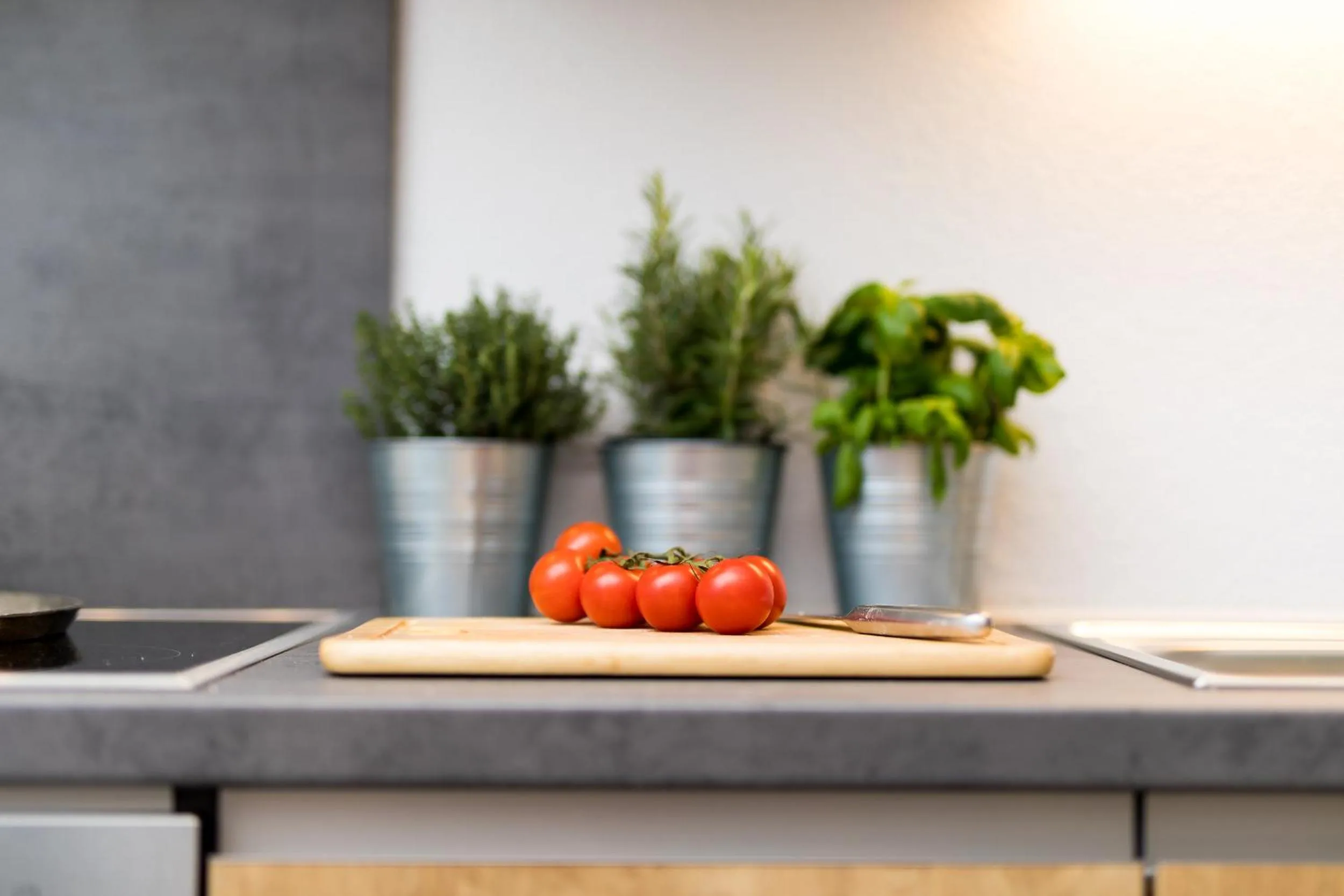 Kitchen or kitchenette in Easy Living Apartment Ötztal