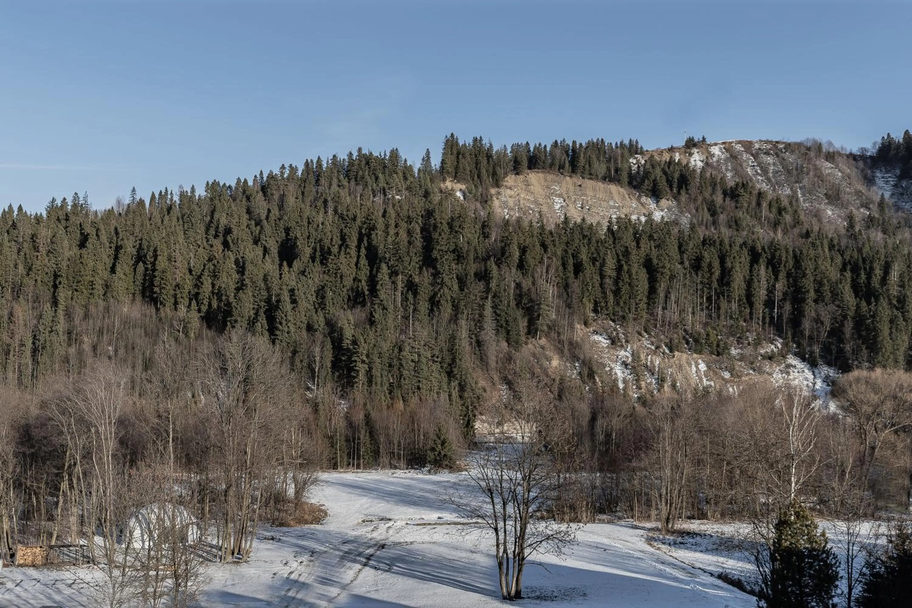 Natural landscape in Hotel Litworowy Staw