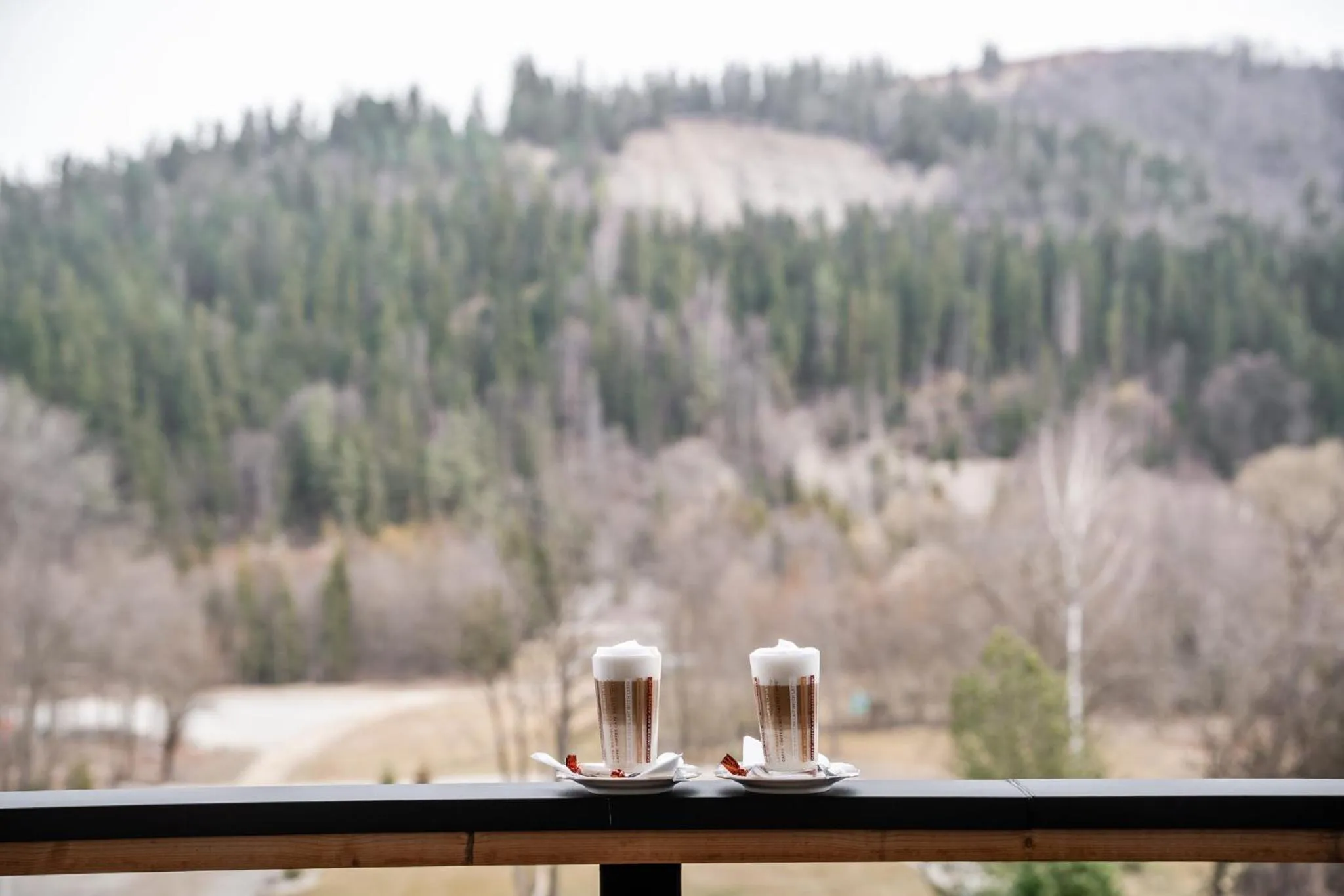 View (from property/room) in Hotel Litworowy Staw