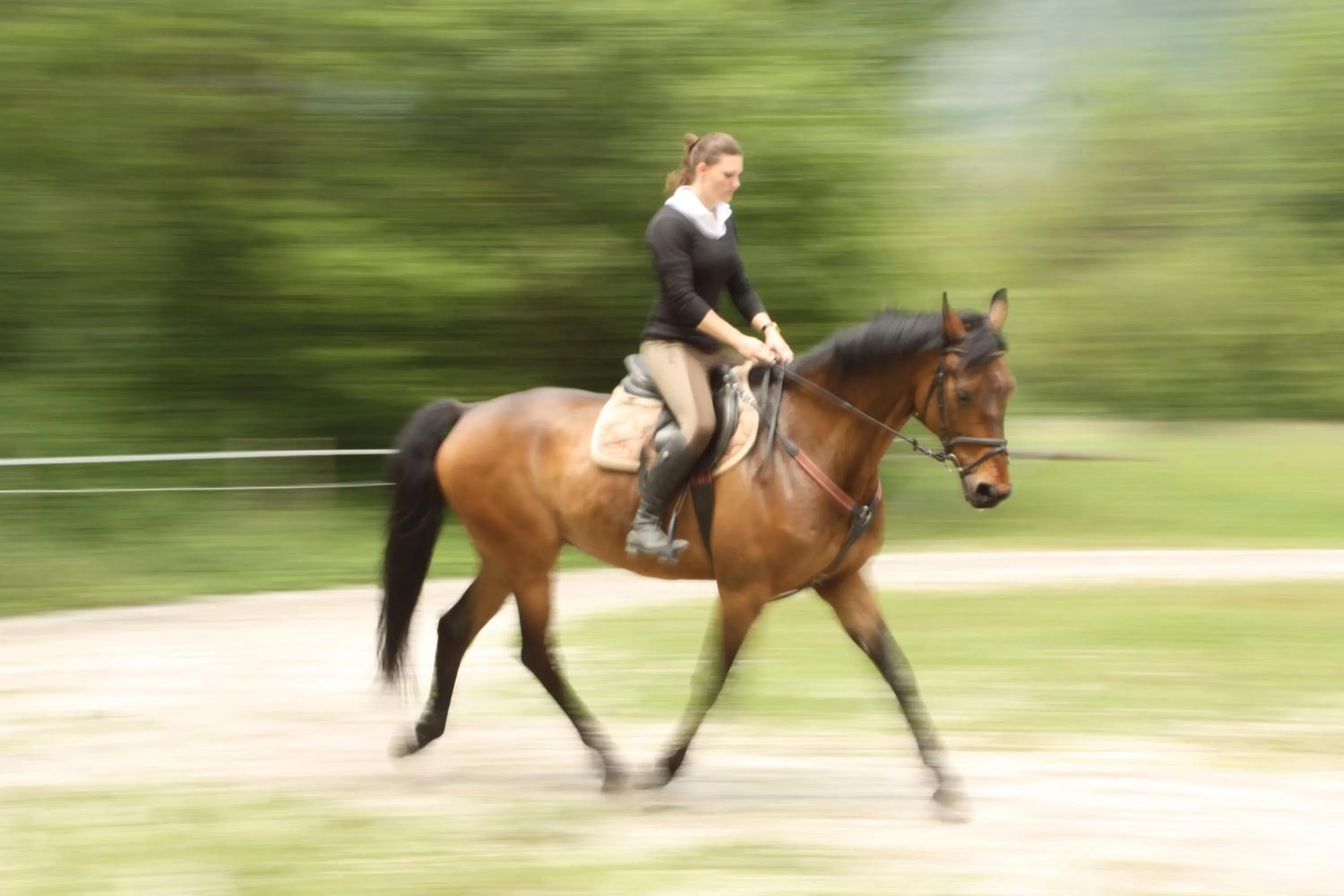 Horse-riding in Boutique Hotel Dobra Vila Bovec