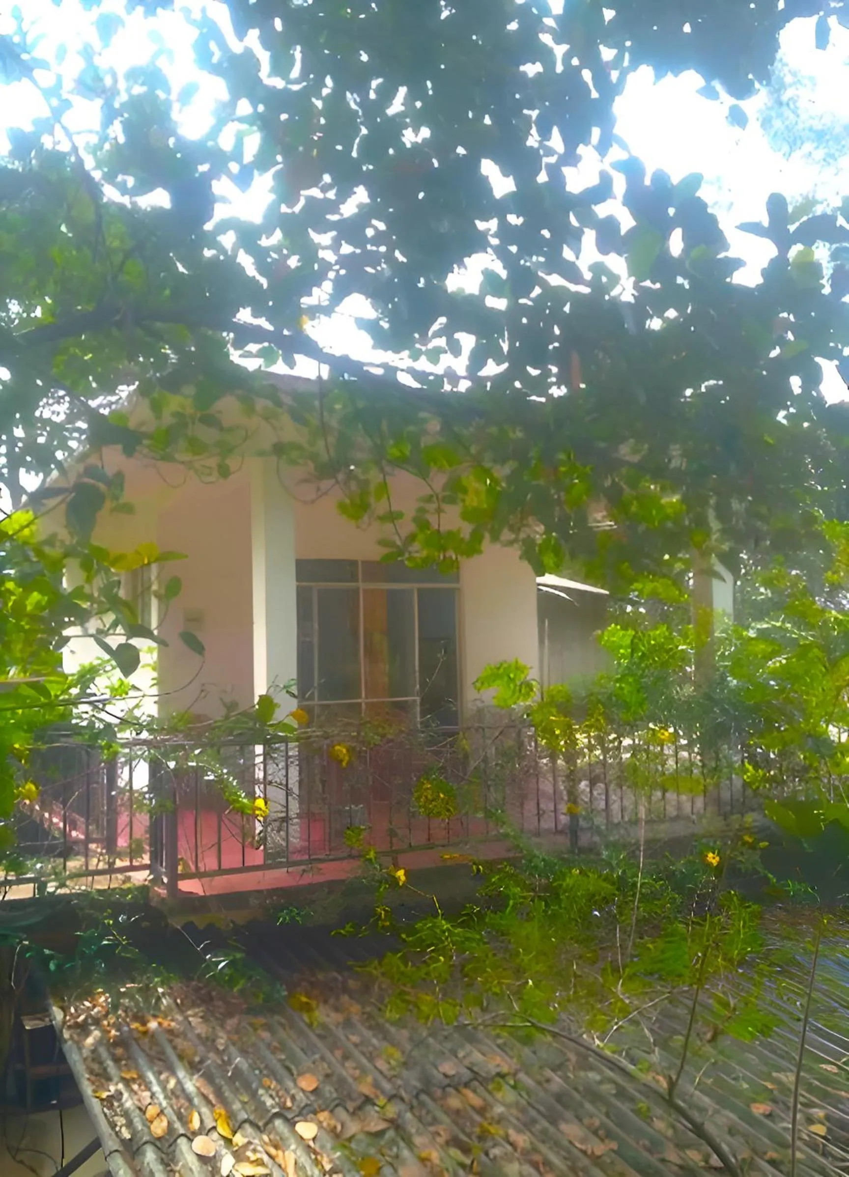 Property building in Senehas Homestay