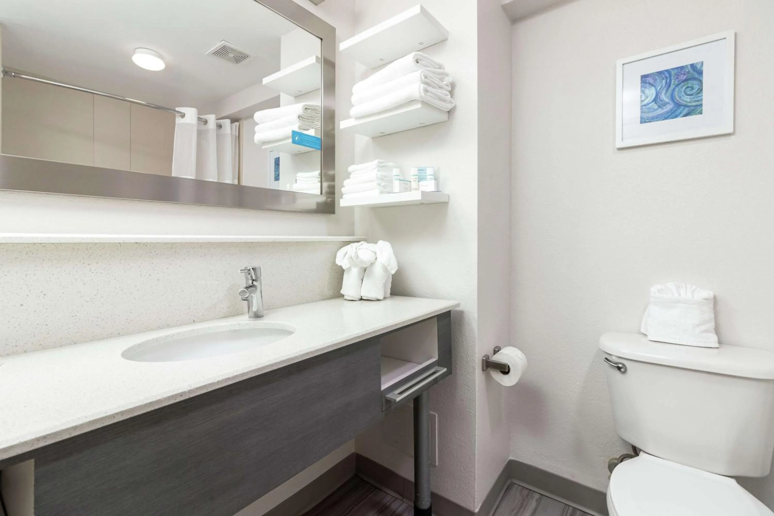 Bathroom in Hampton Inn Daytona Shores-Oceanfront