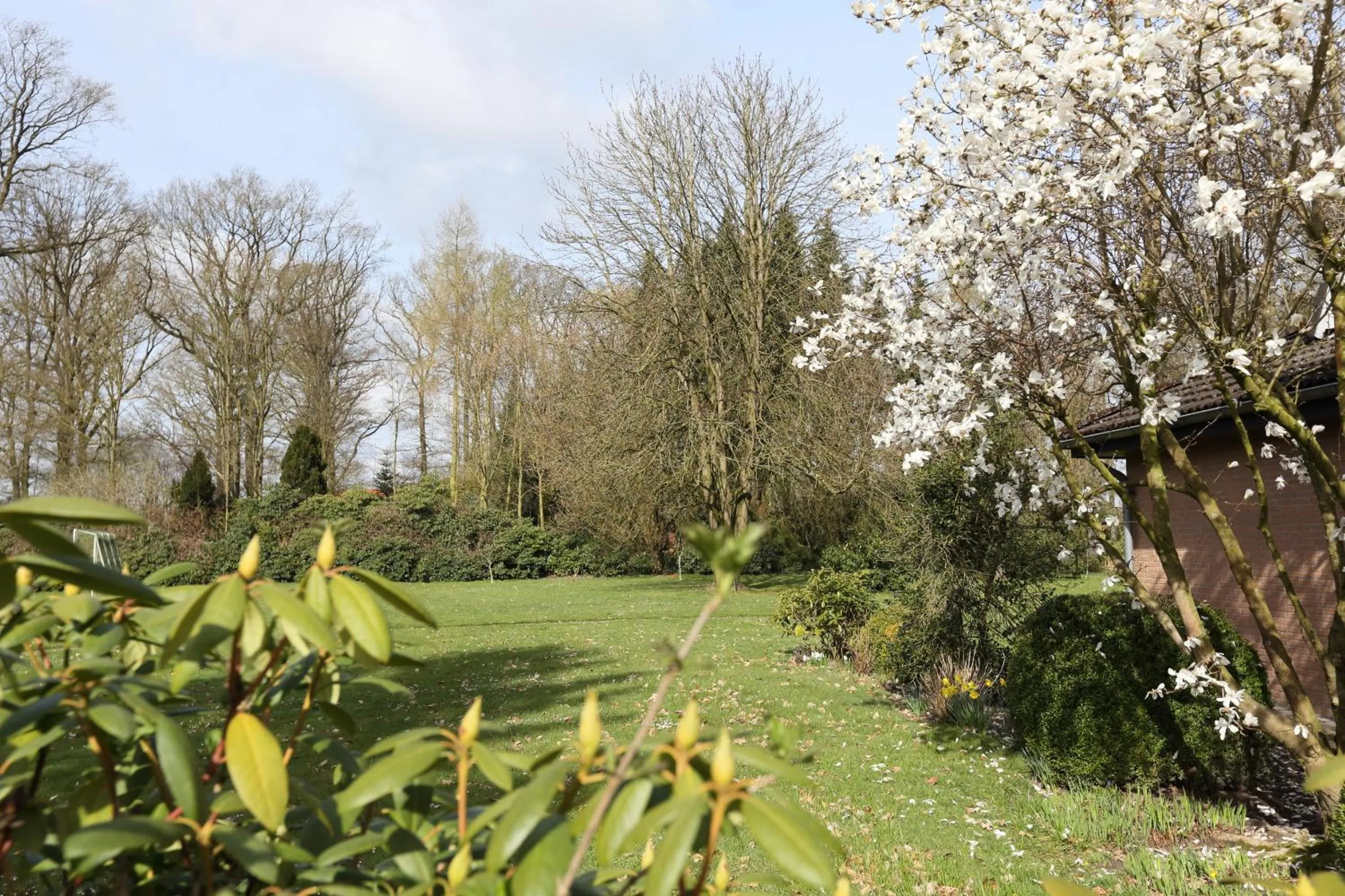 Garden view in Jeddinger Hof Land- und Seminarhotel