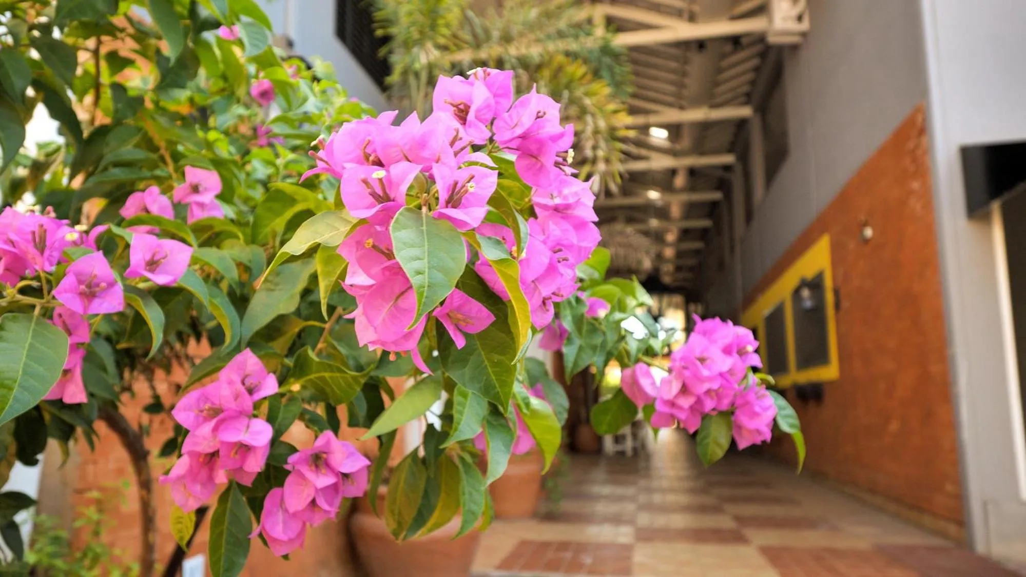 Day in Hotel Paraíso das Águas Bonito