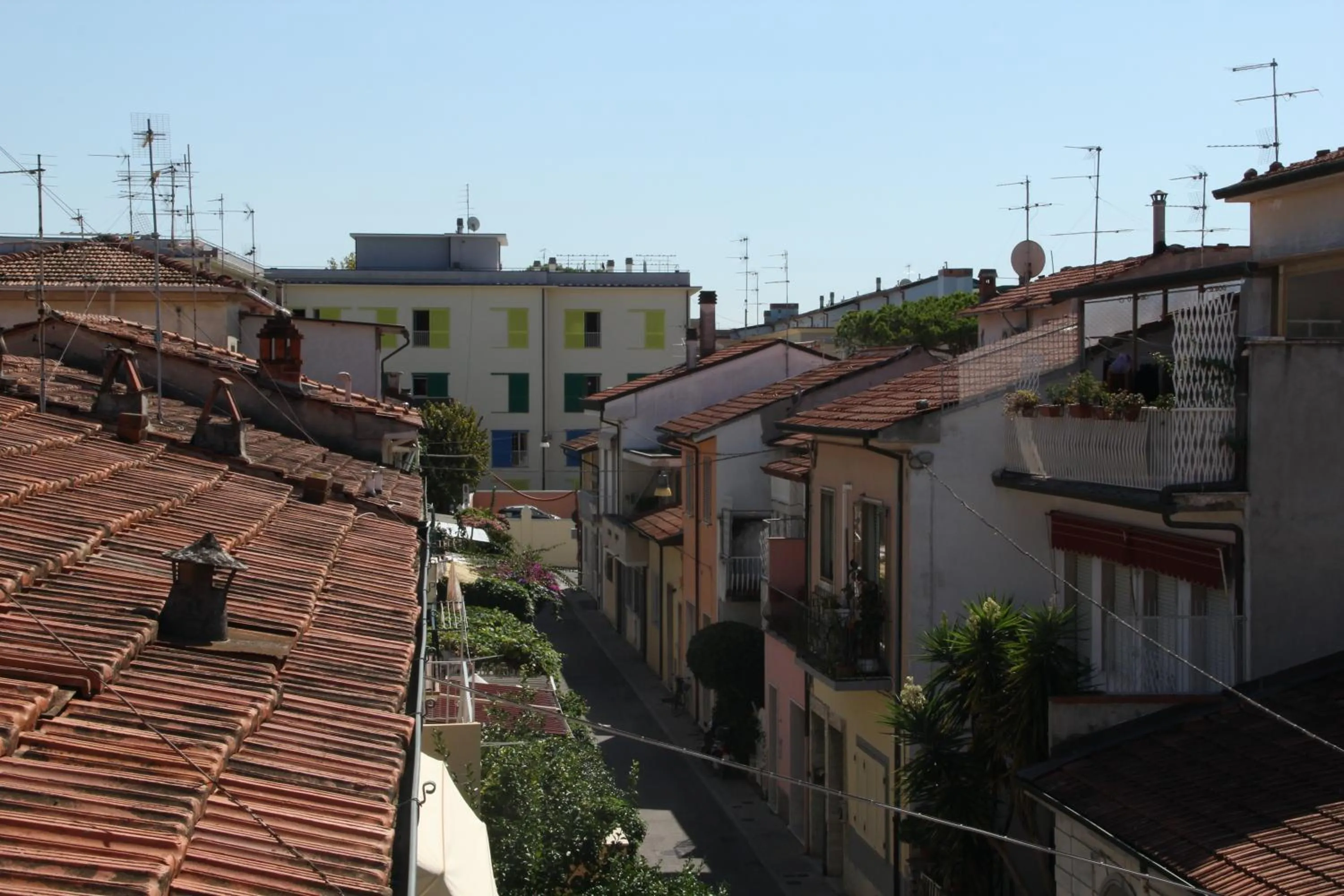 Area and facilities in Hotel Sauro