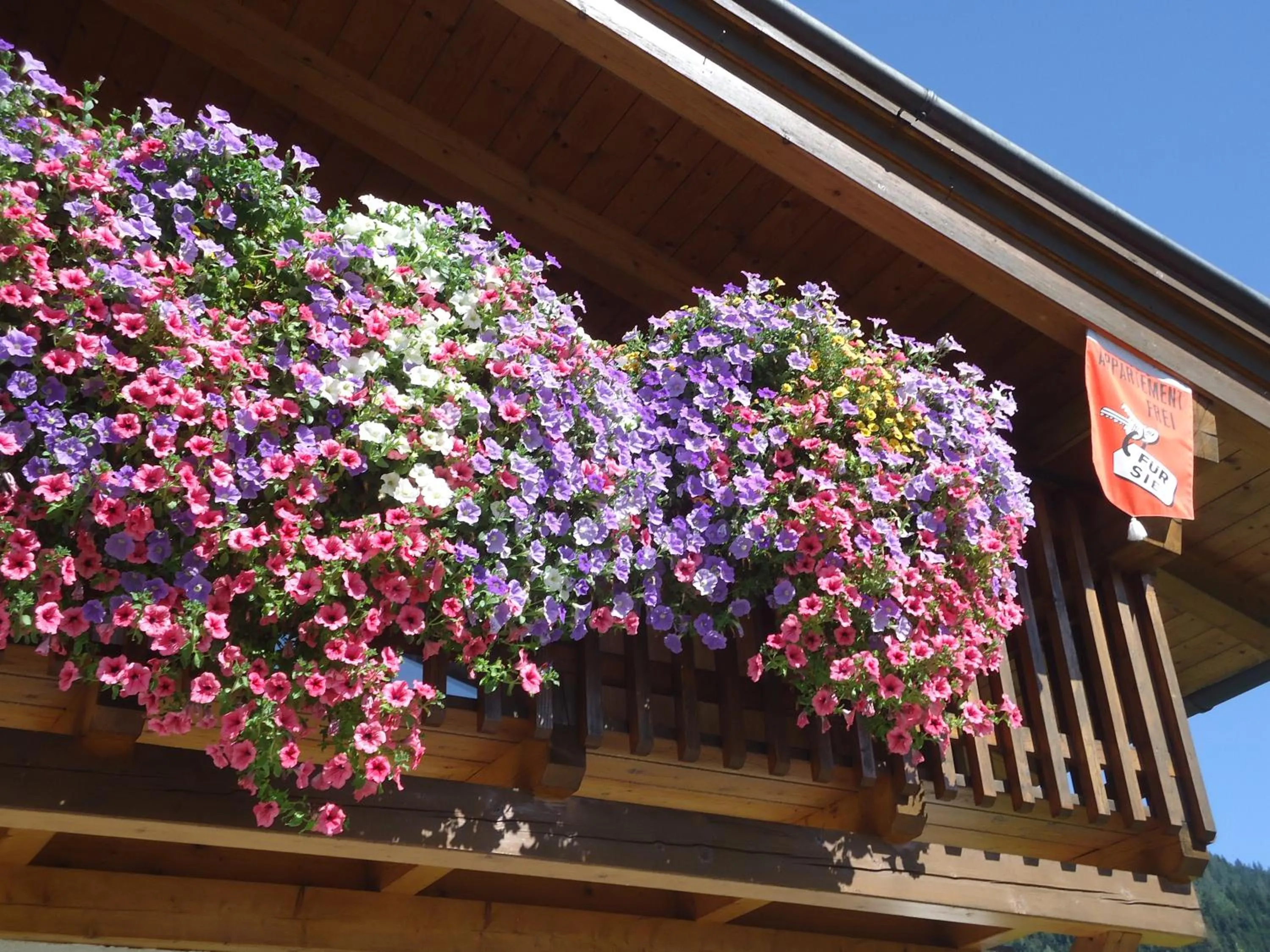 Balcony/Terrace in Apartment Maier