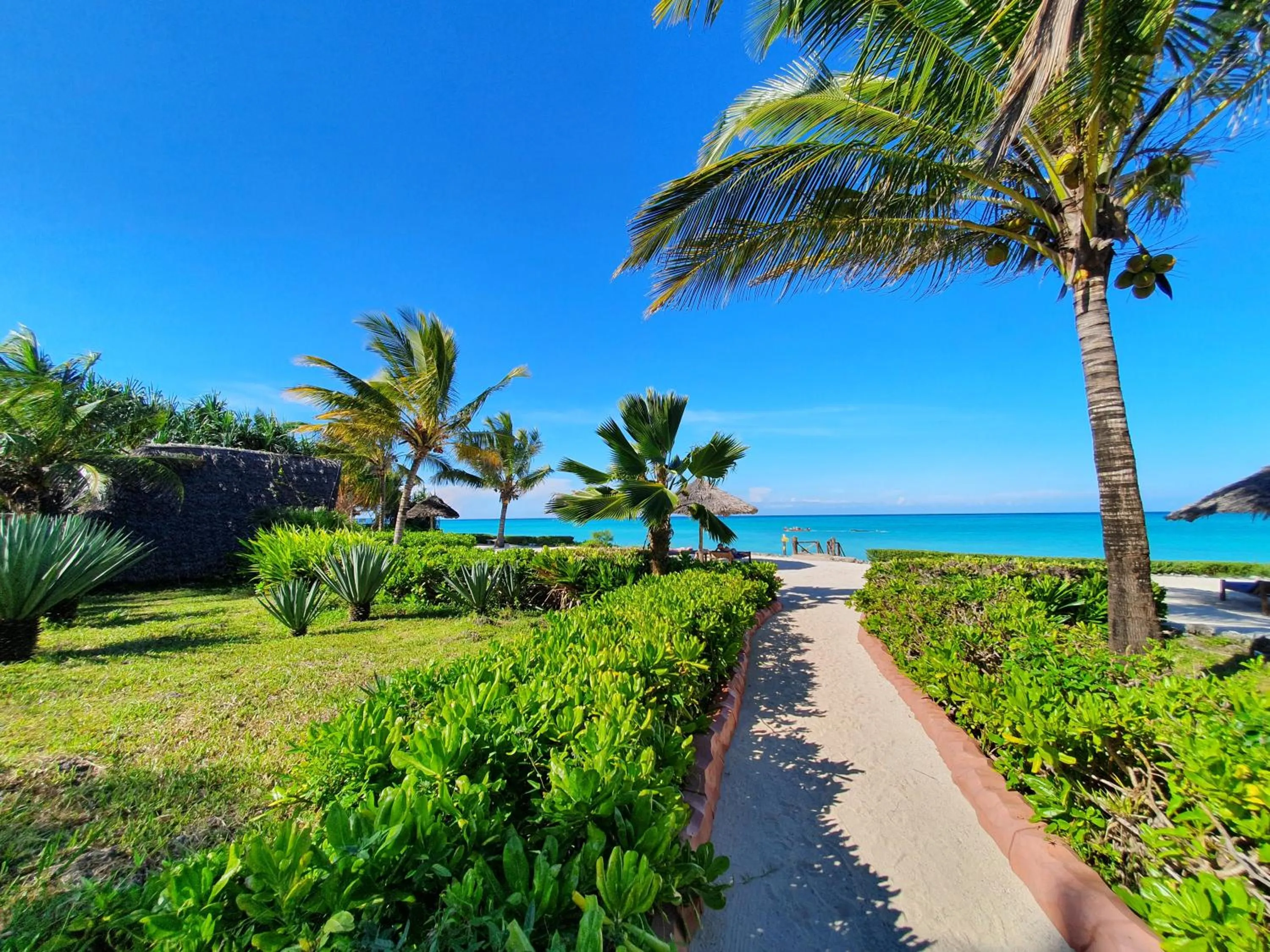 Garden in The Zanzibari