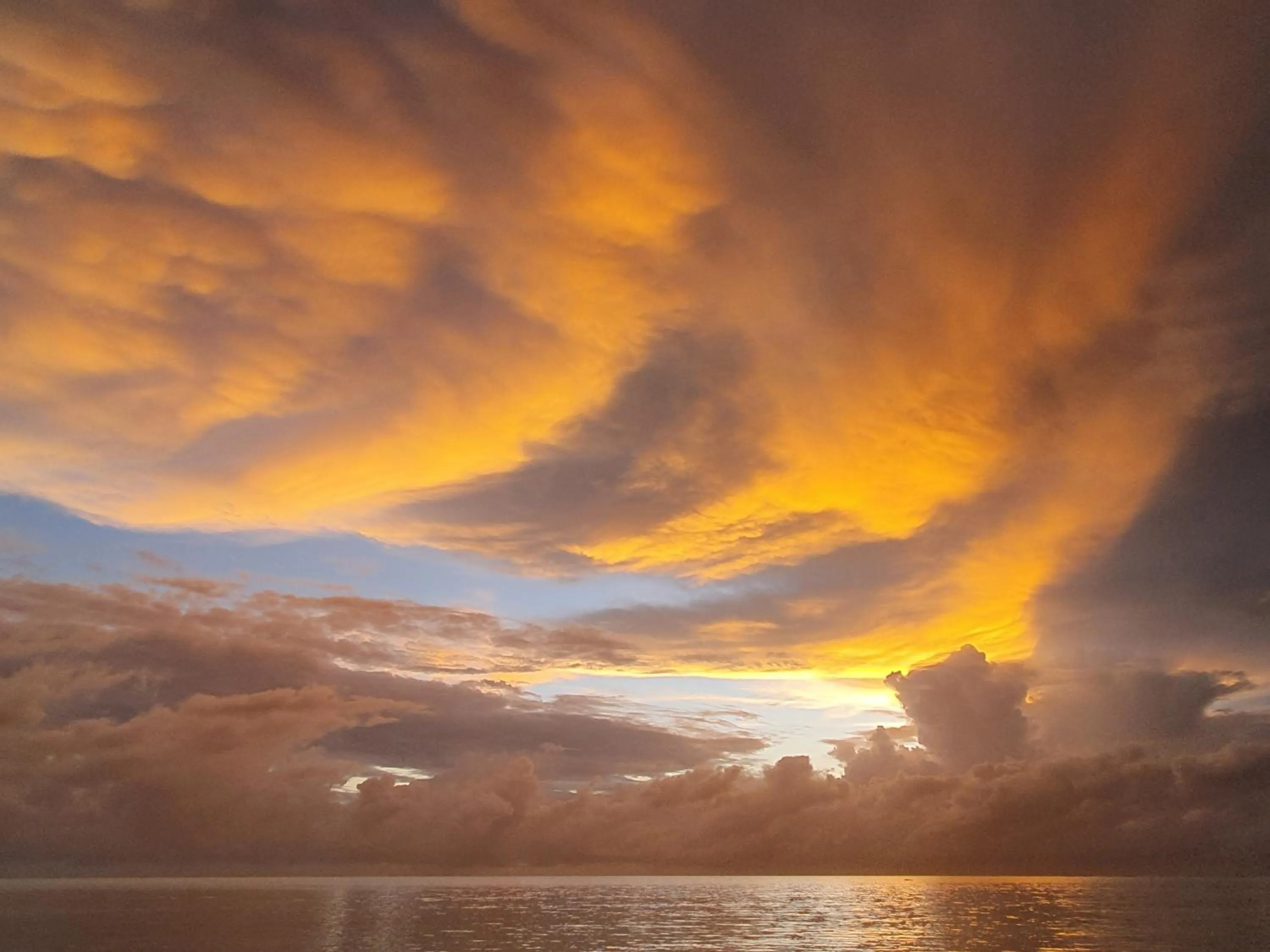 Natural landscape in The Zanzibari