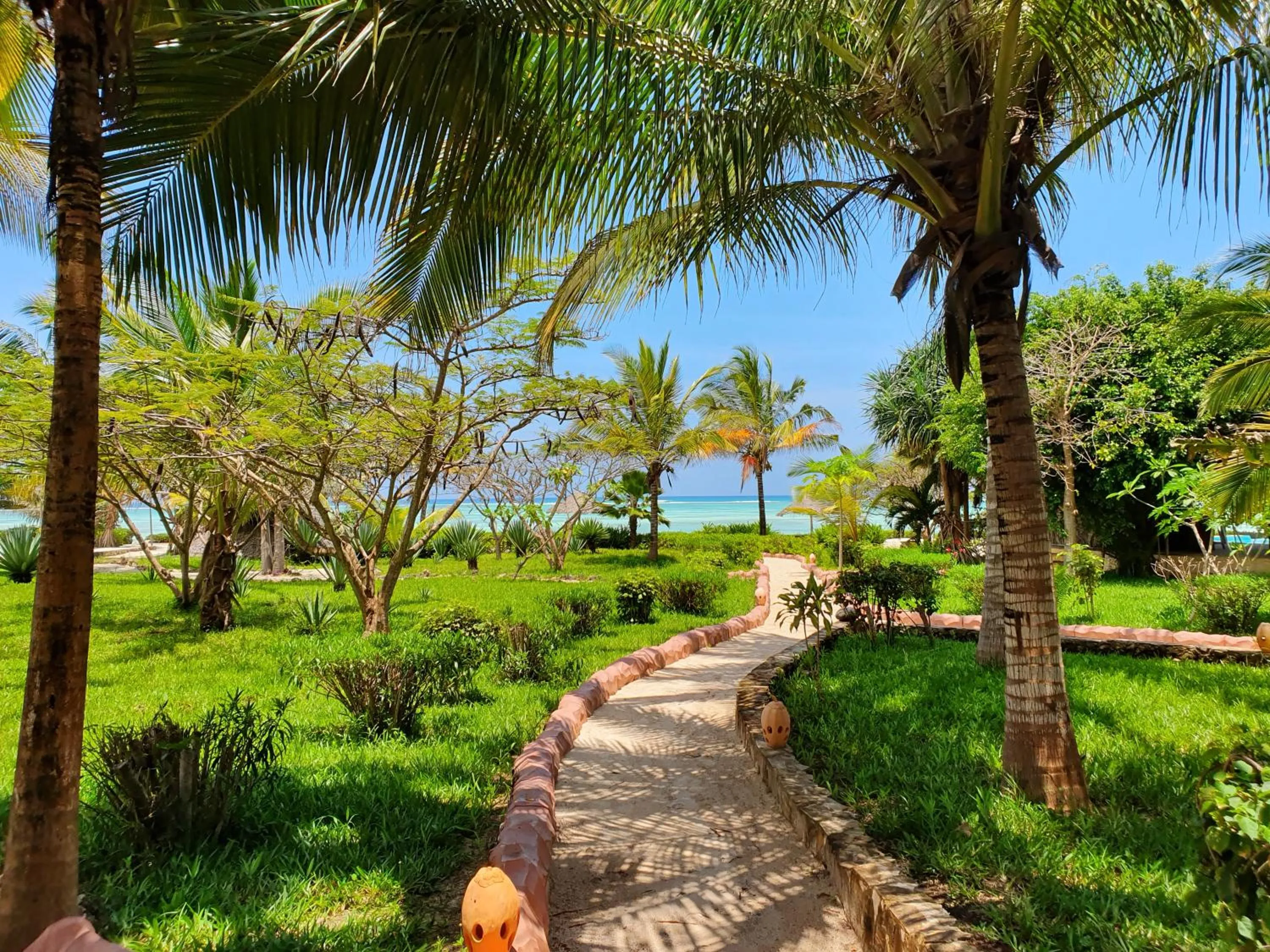 Garden in The Zanzibari