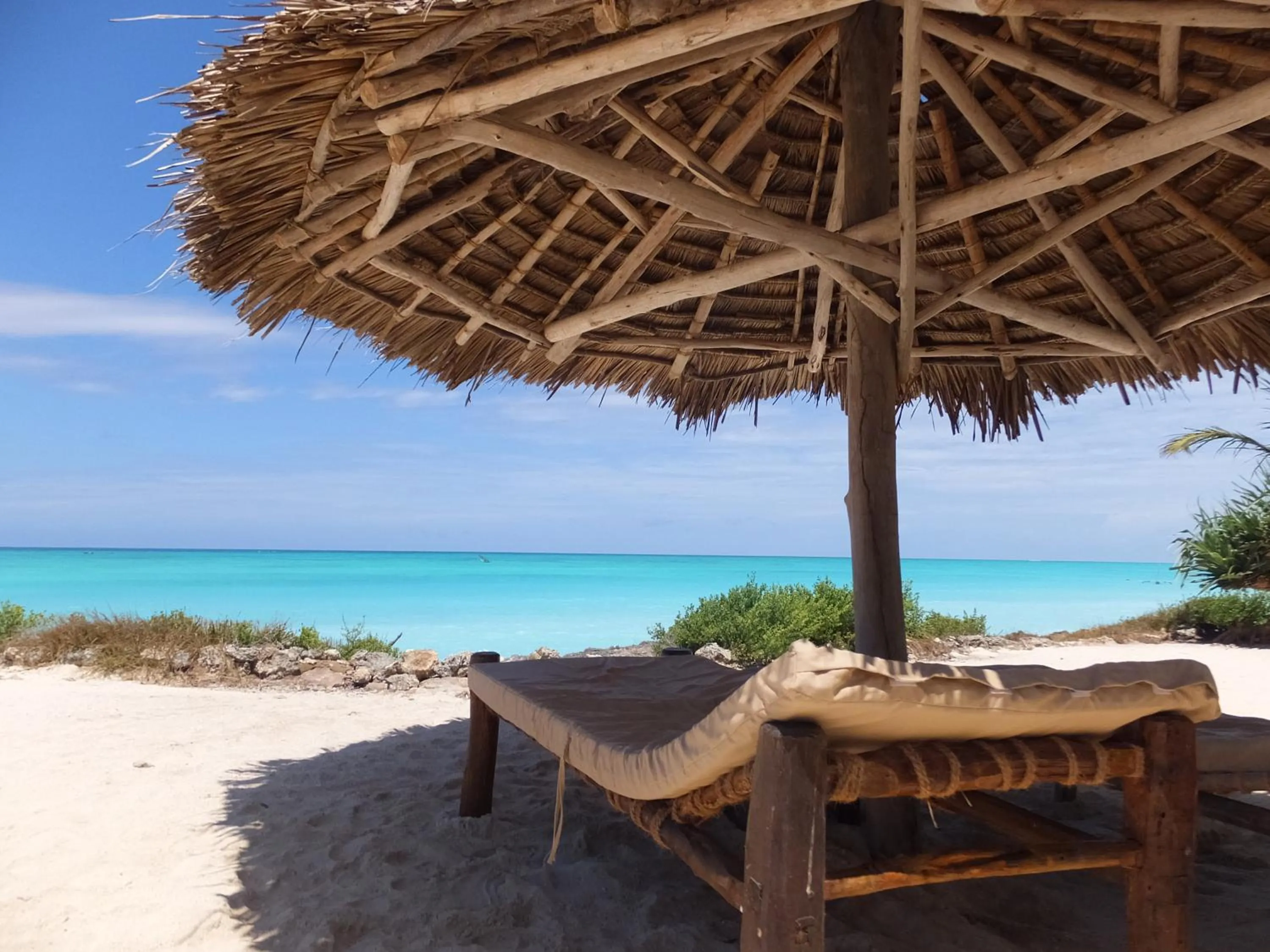 Day in The Zanzibari