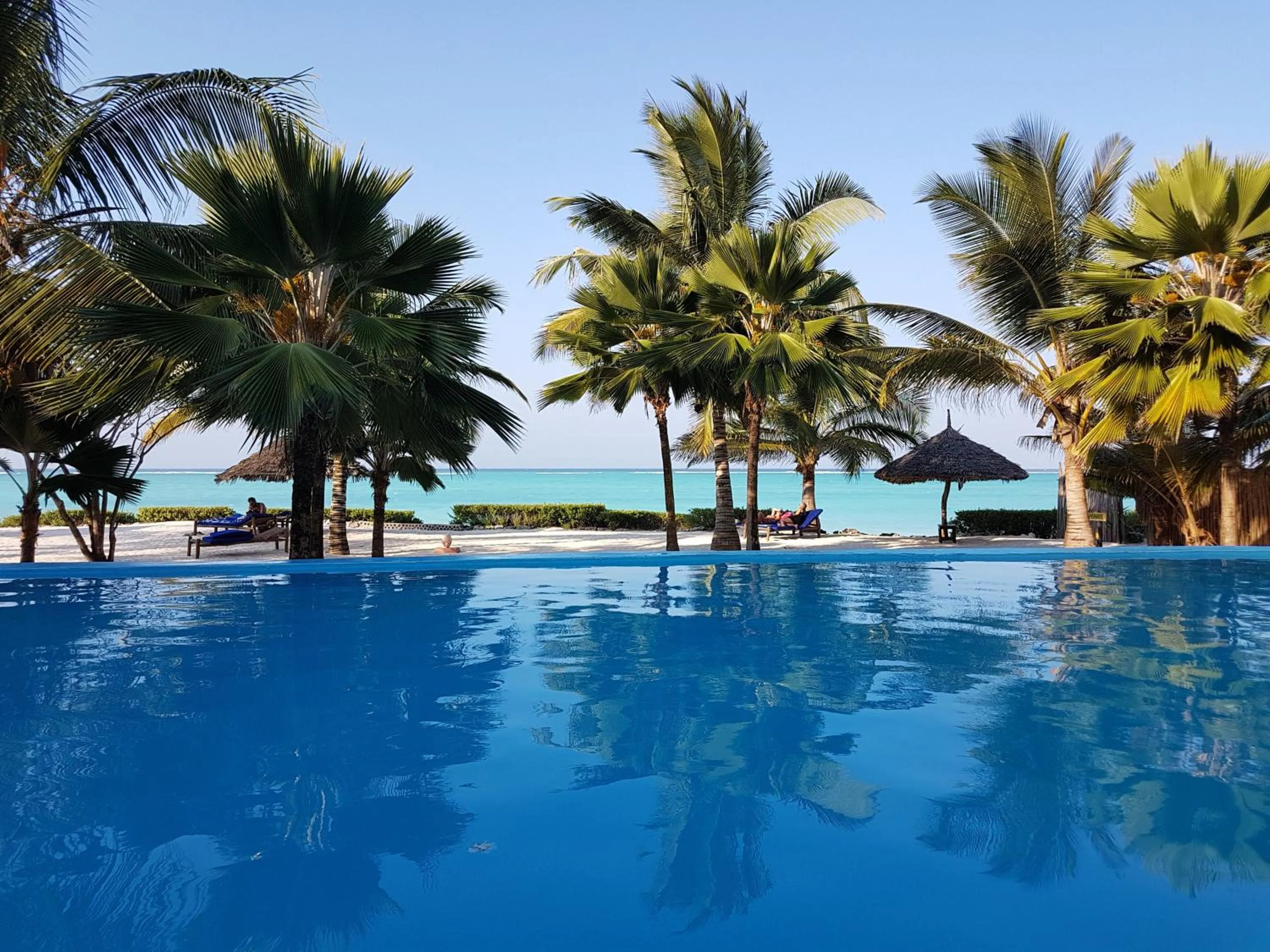 Swimming pool in The Zanzibari
