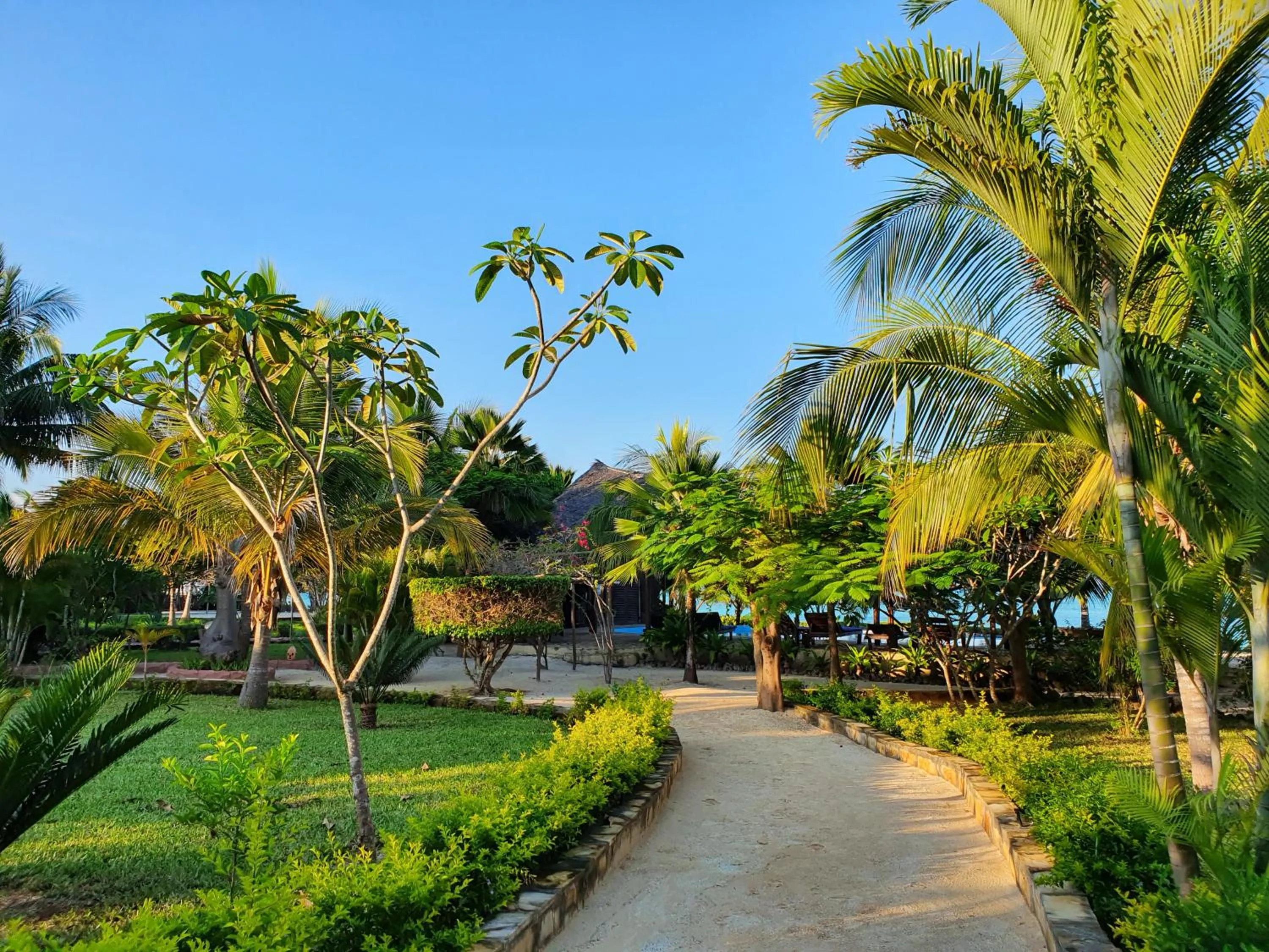 Garden in The Zanzibari