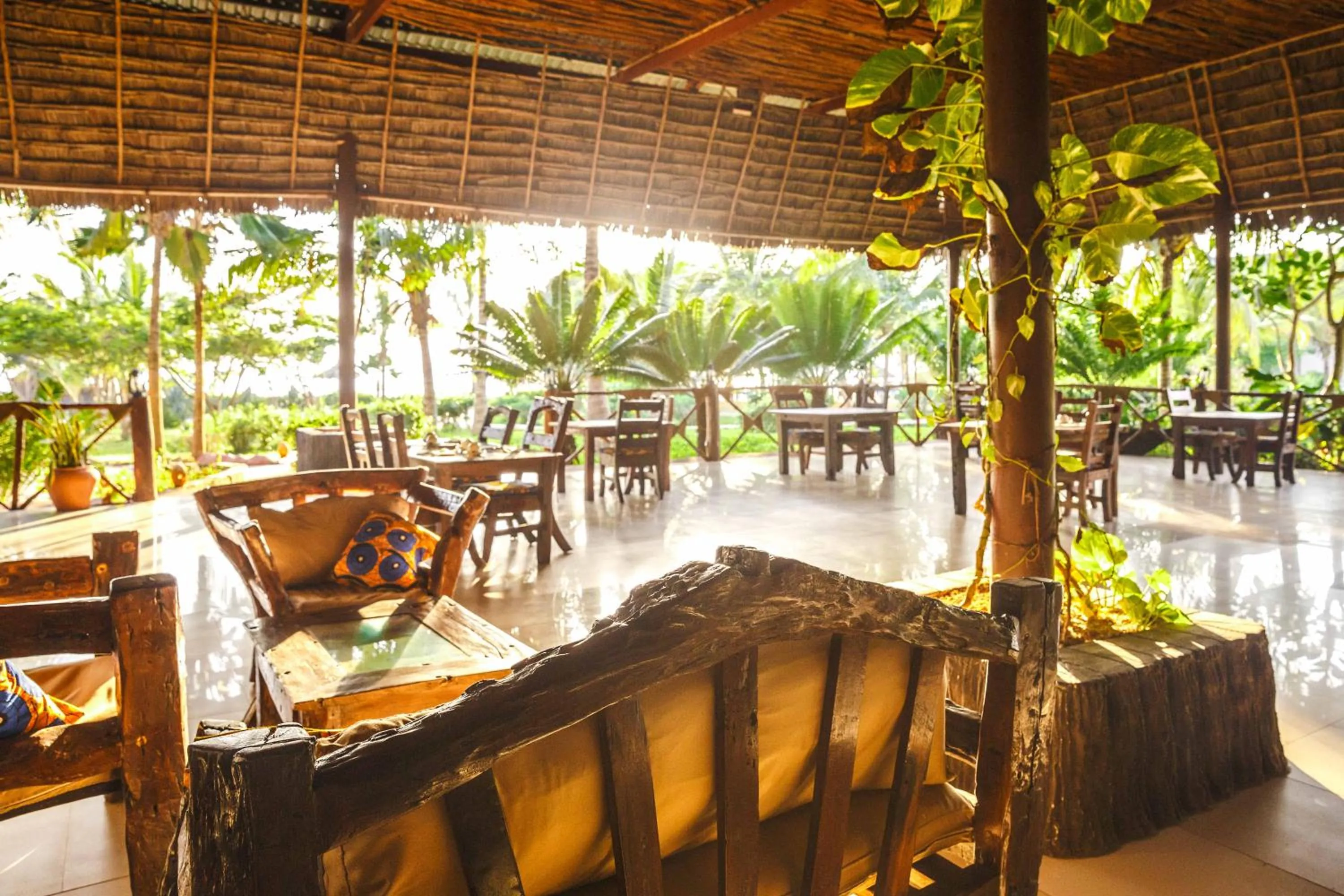 Restaurant/places to eat in The Zanzibari