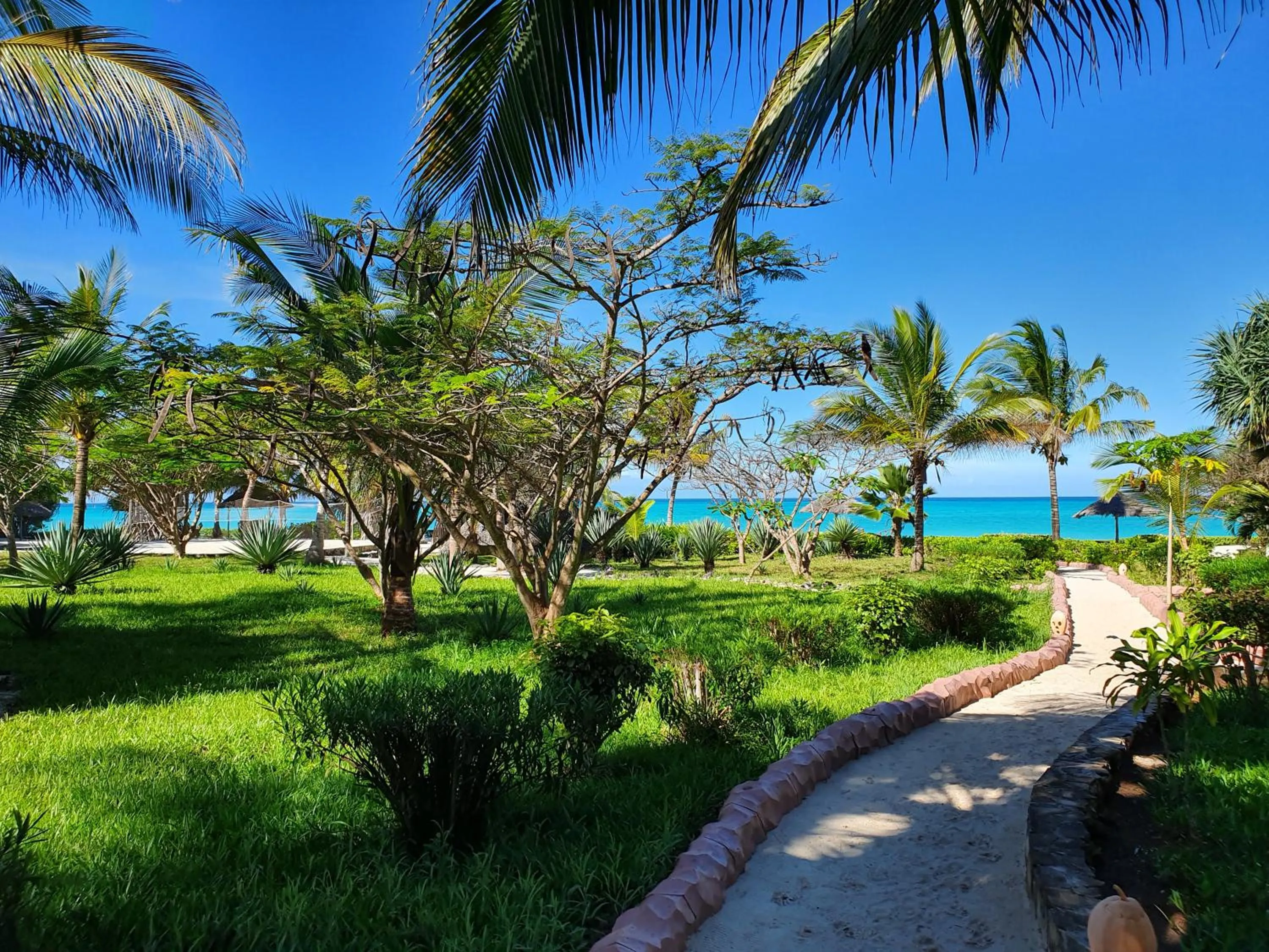 Garden in The Zanzibari