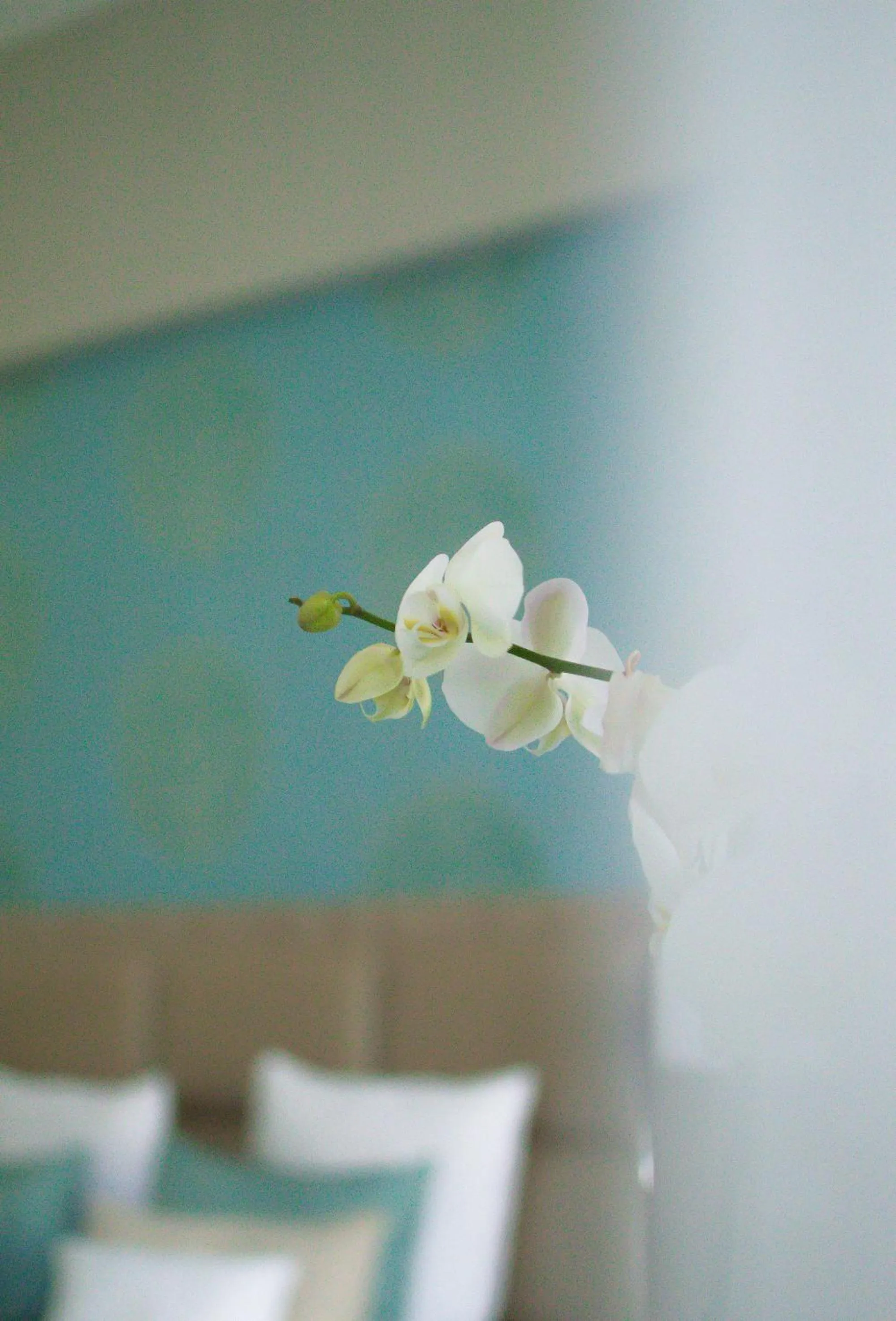 Bed in Harmonia Palace - Luxury Apartments