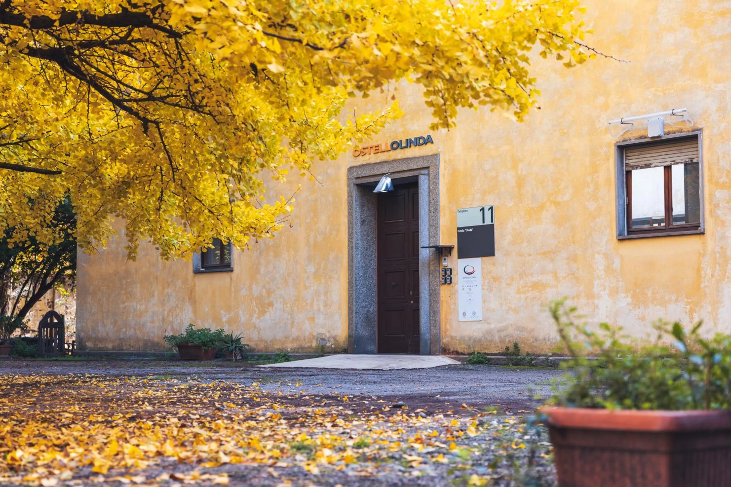 Property building in OstellOlinda