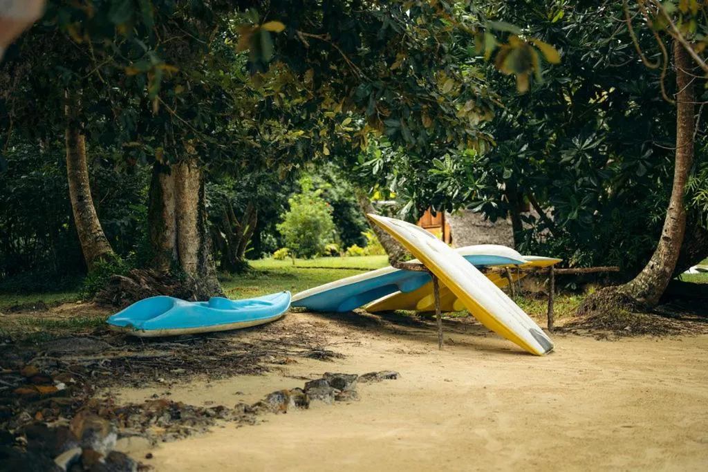 Activities in Aurora Lodge