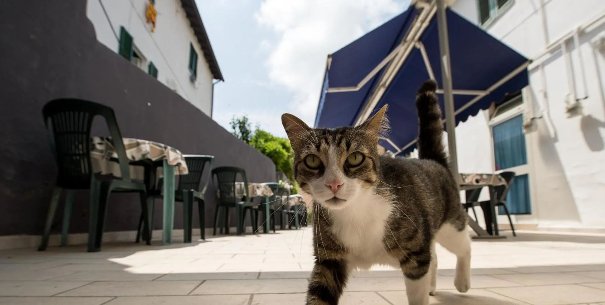 Property building in Hotel Terranova