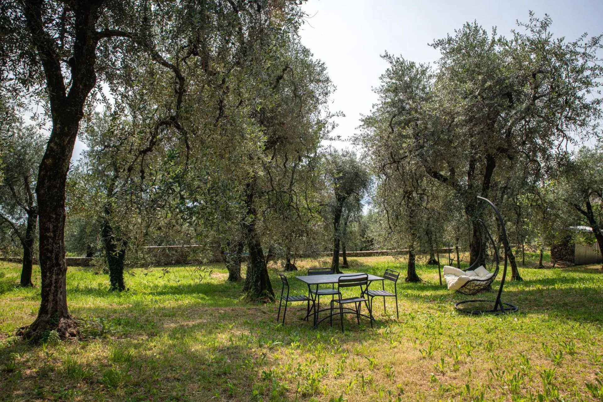 B&B Il Sogno nel Borgo