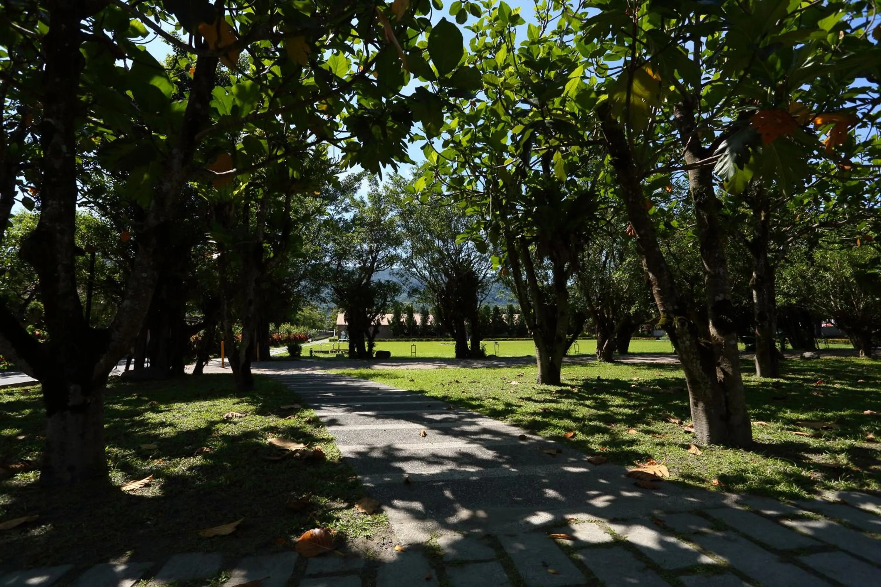 Spring in Yi Yuan Resort