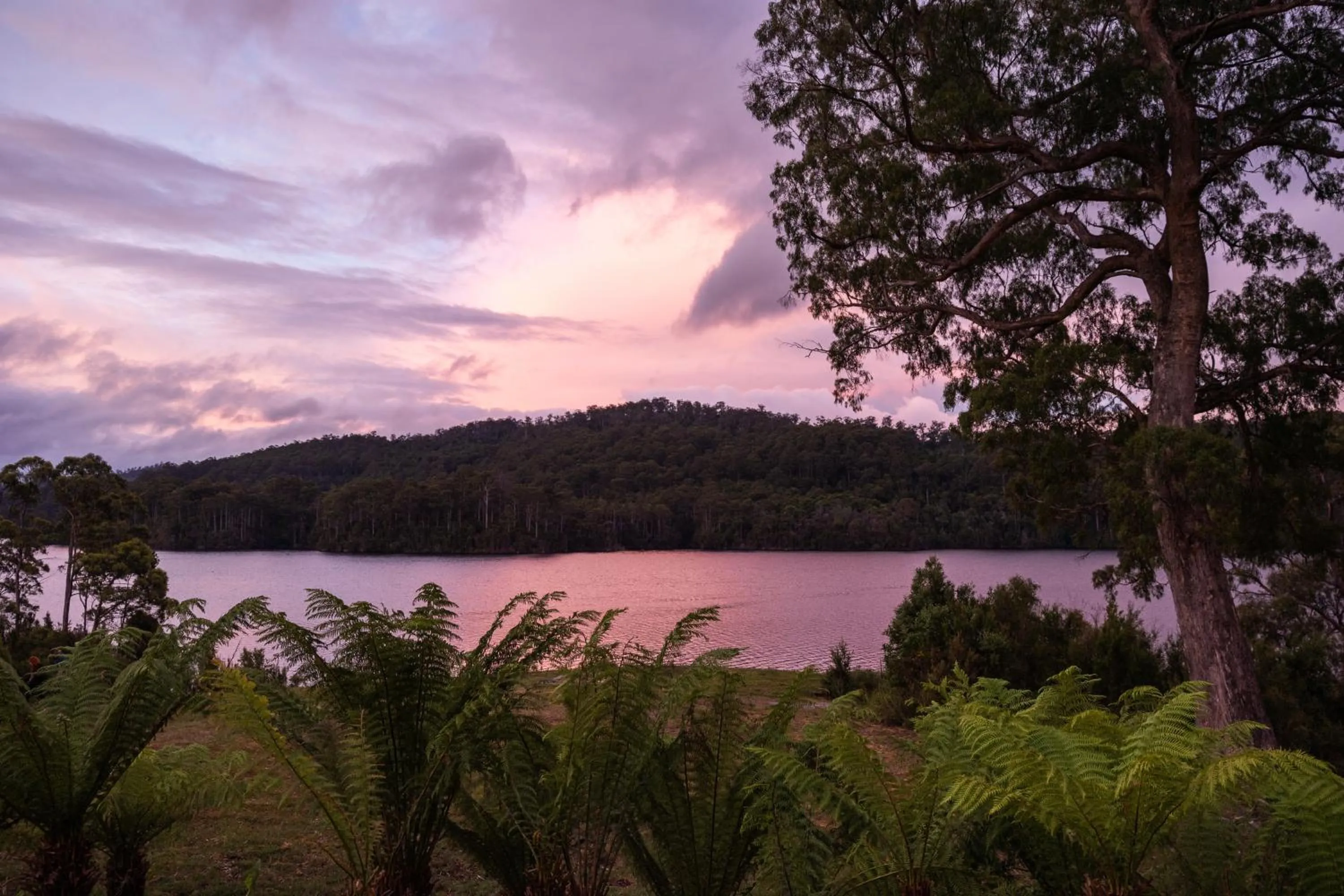 Natural landscape in Tullah Lakeside Lodge