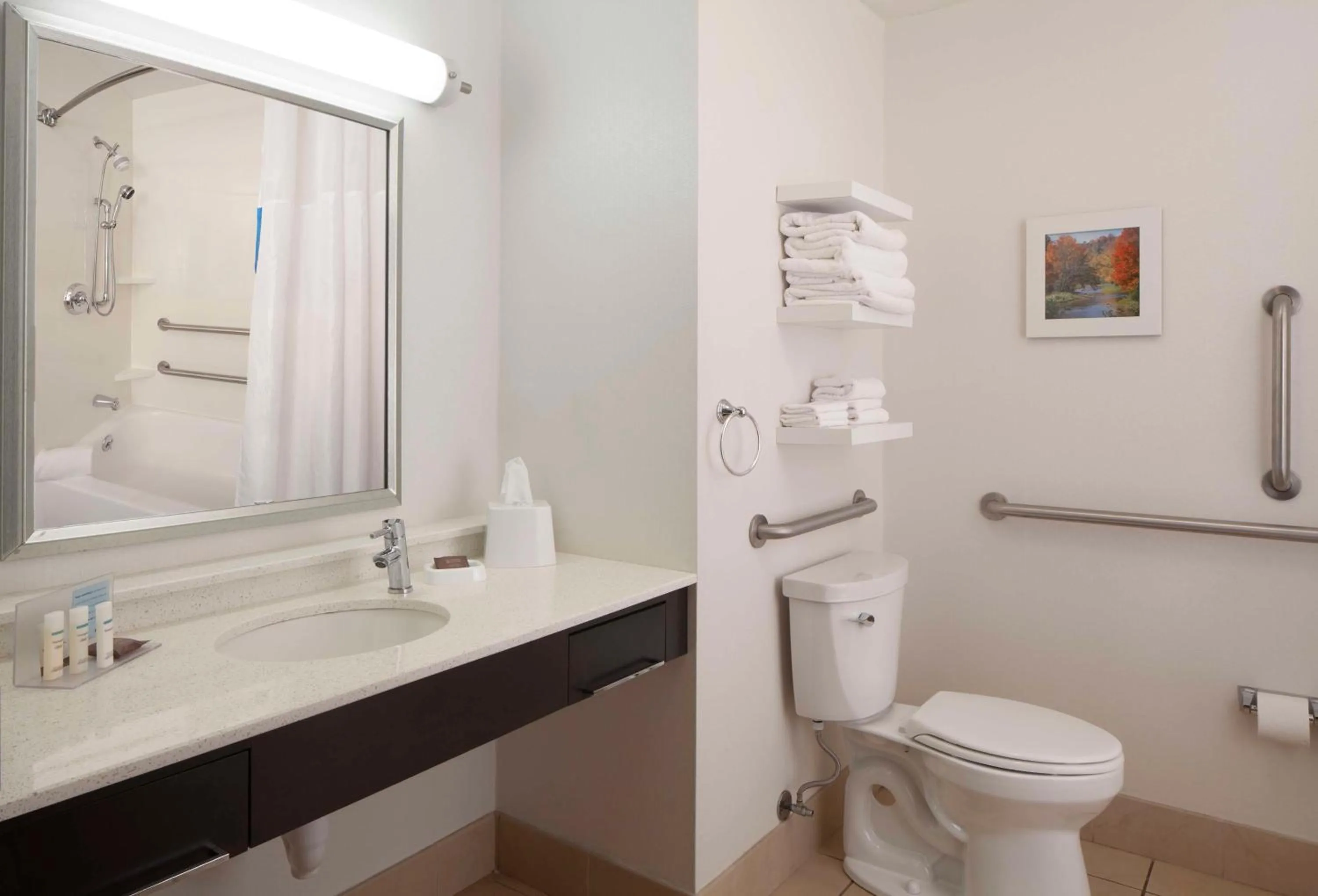 Bathroom in Hampton Inn Charleston-Southridge