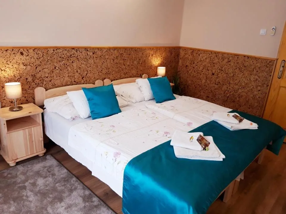 Standard Twin Room - single occupancy in Zenit Panzió