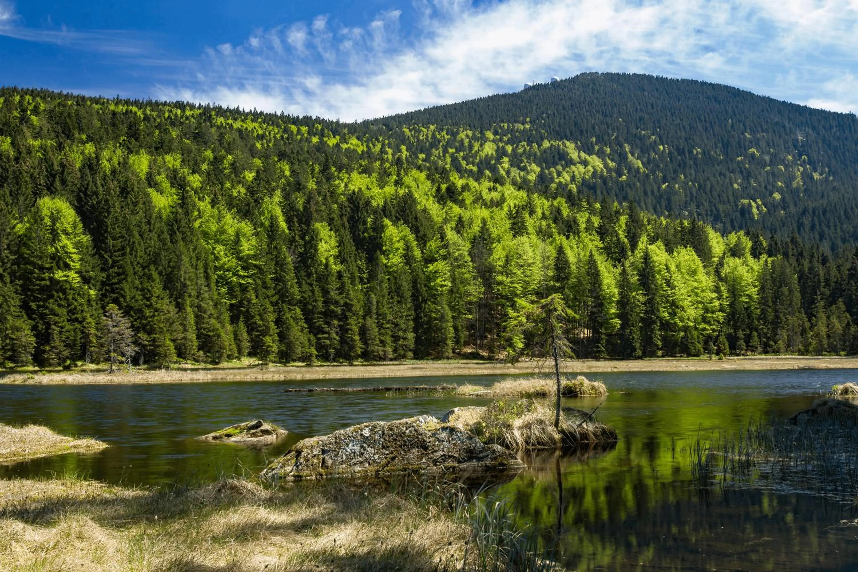 Natural landscape in Bayerische Gastwirtschaft Dimpfl-Stadl