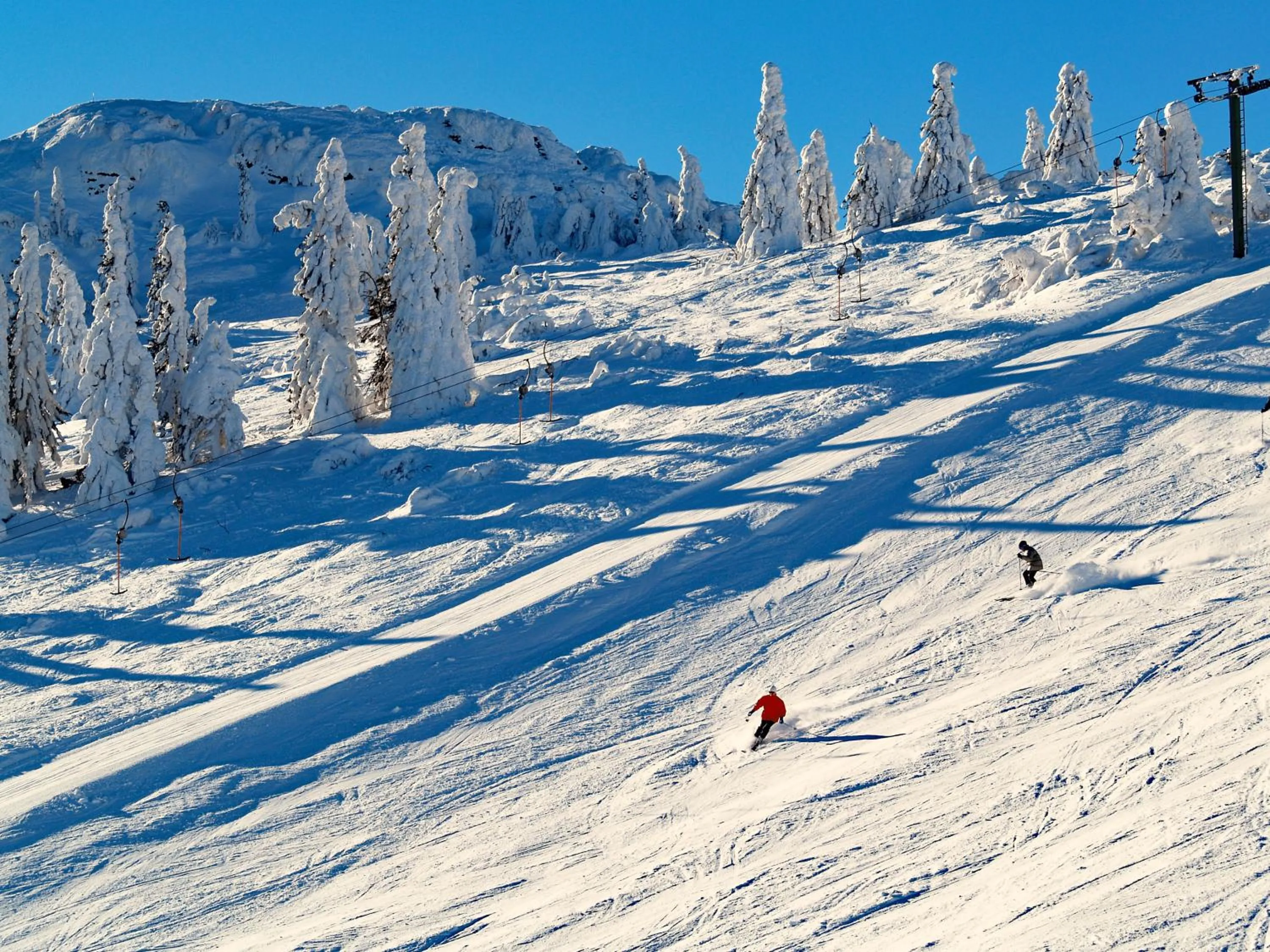 Skiing in Bayerische Gastwirtschaft Dimpfl-Stadl