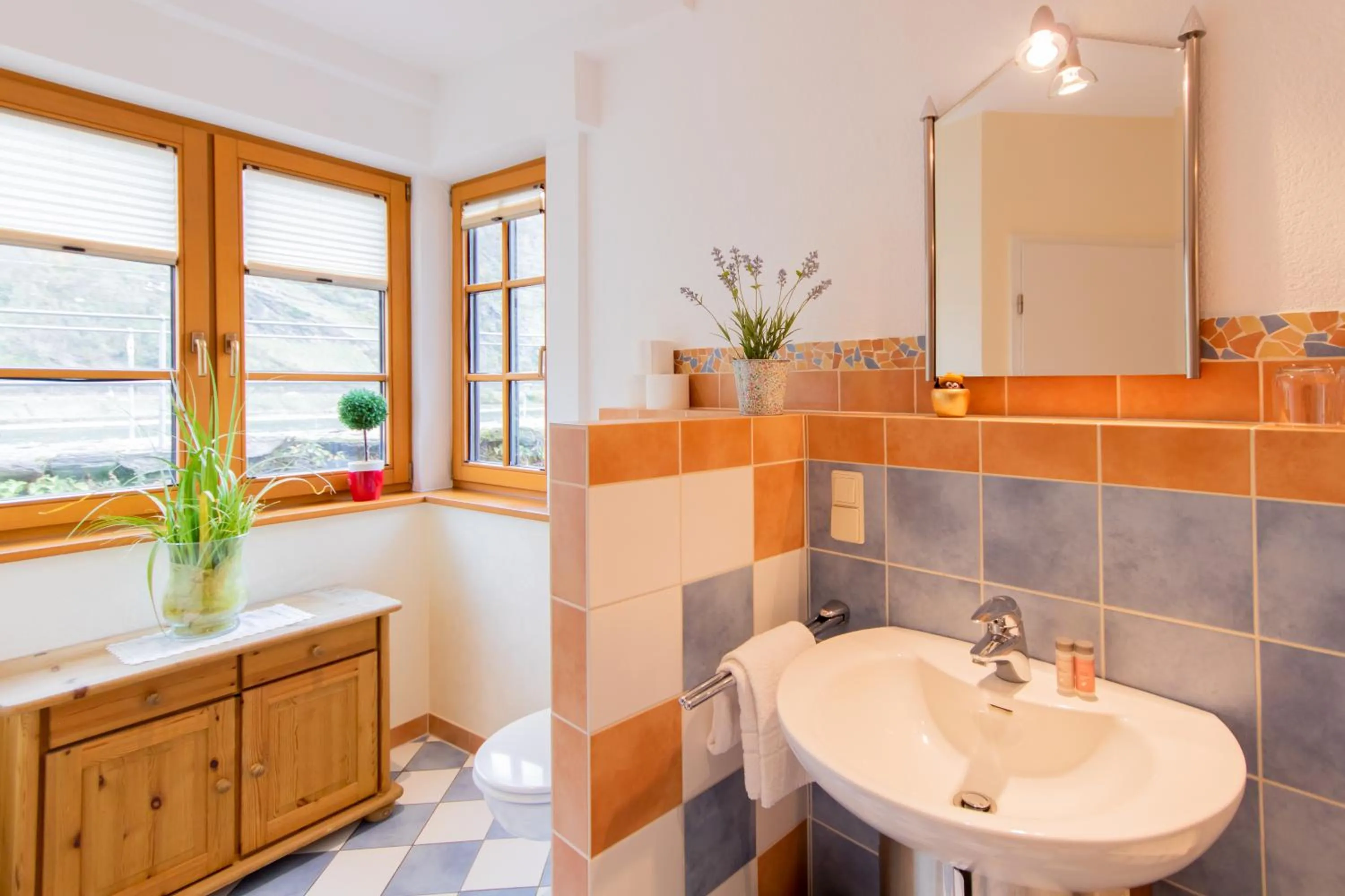 Shower in Hotel Weiler