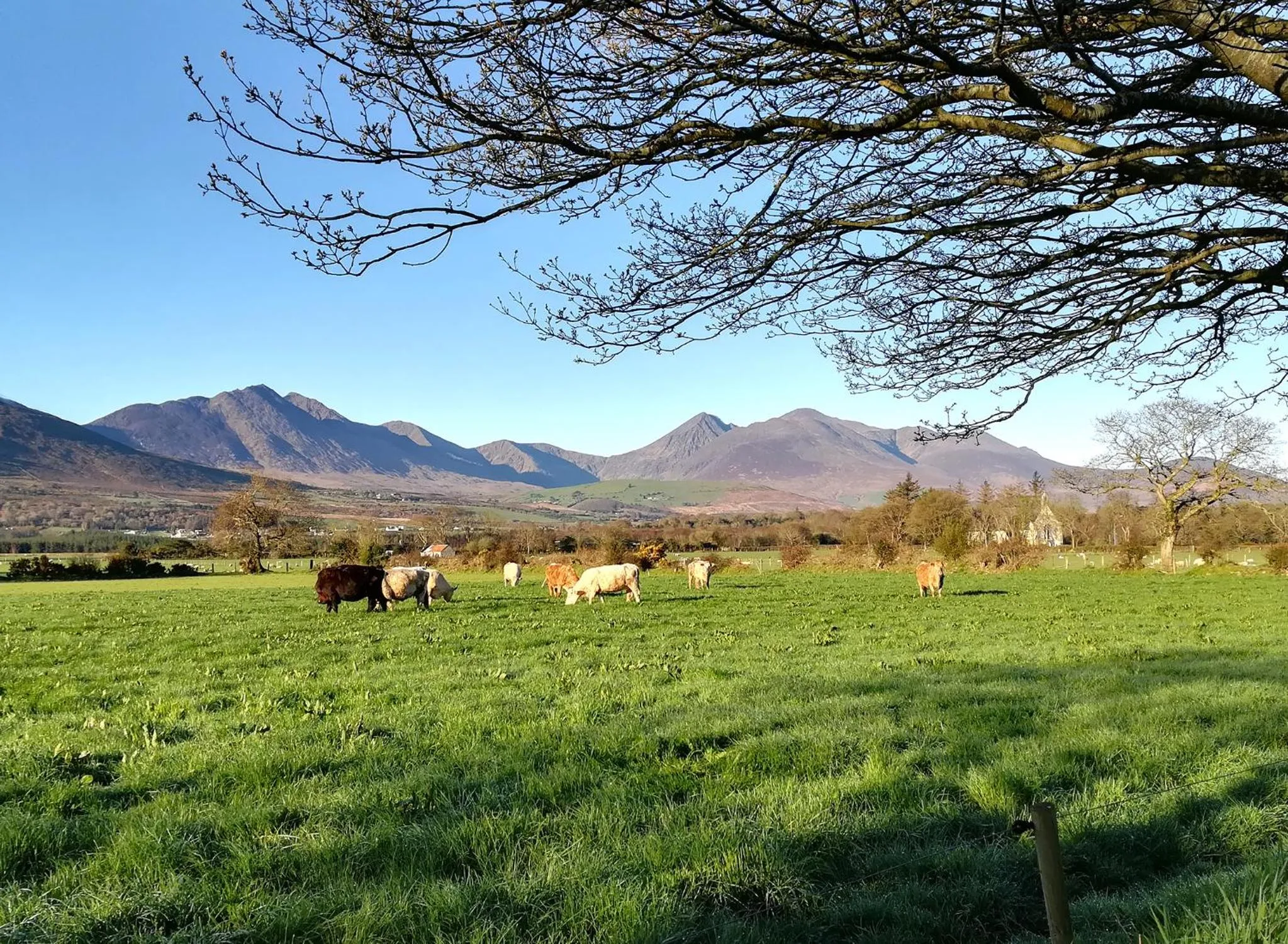 Neighbourhood in Inveraray Farm