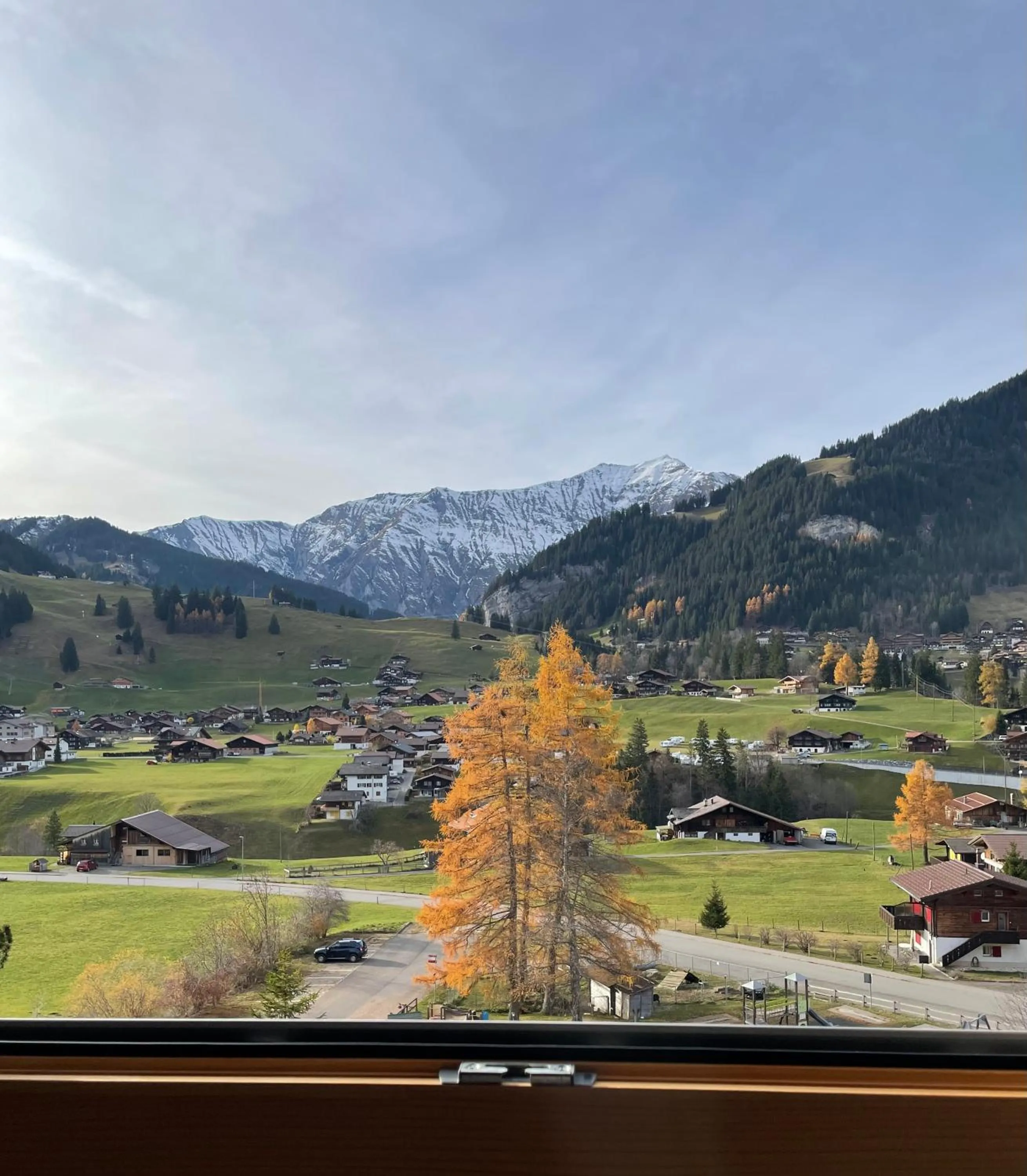 View (from property/room) in Ferien- und Familienhotel Alpina Adelboden