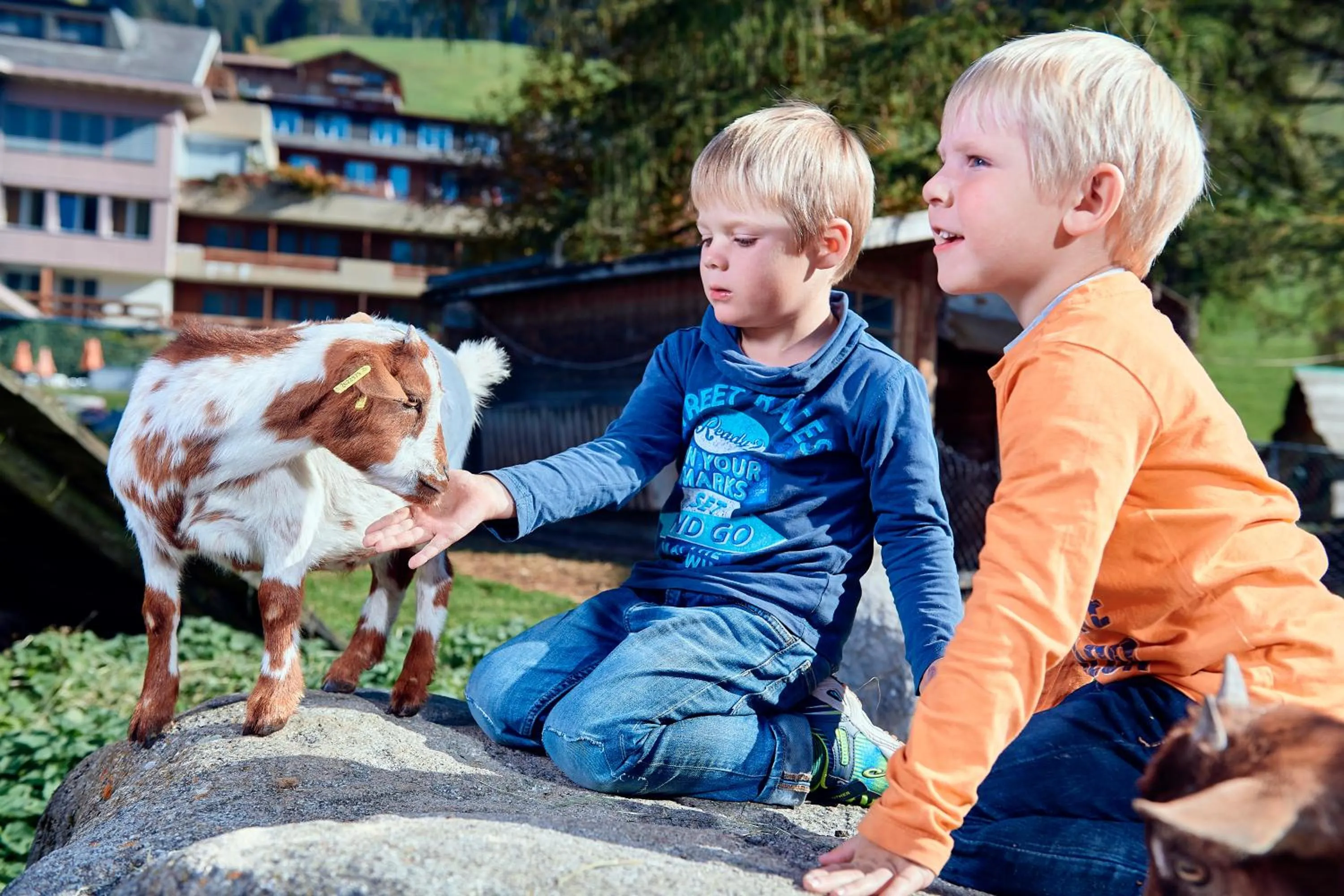 Children play ground in Ferien- und Familienhotel Alpina Adelboden