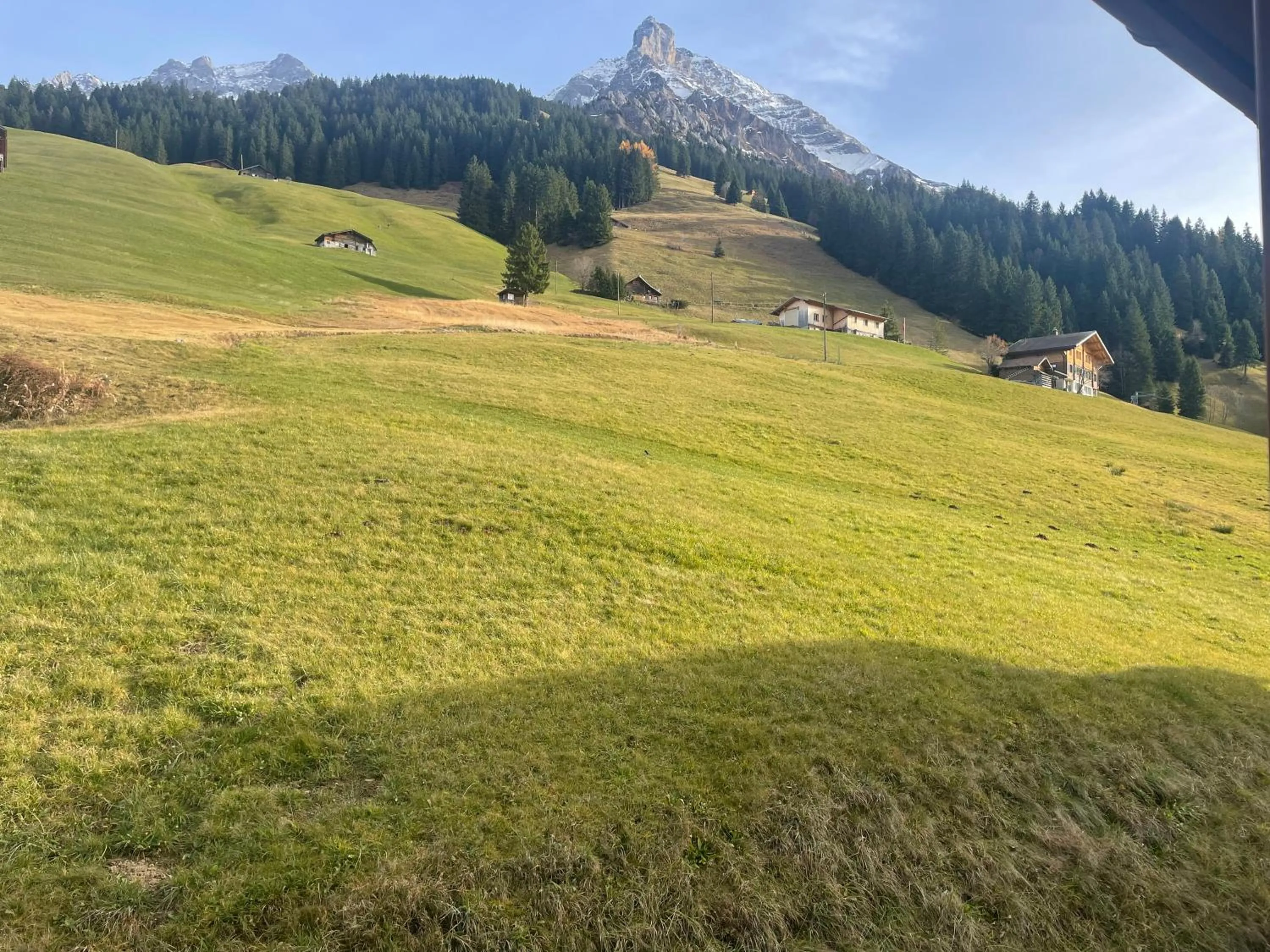 View (from property/room) in Ferien- und Familienhotel Alpina Adelboden