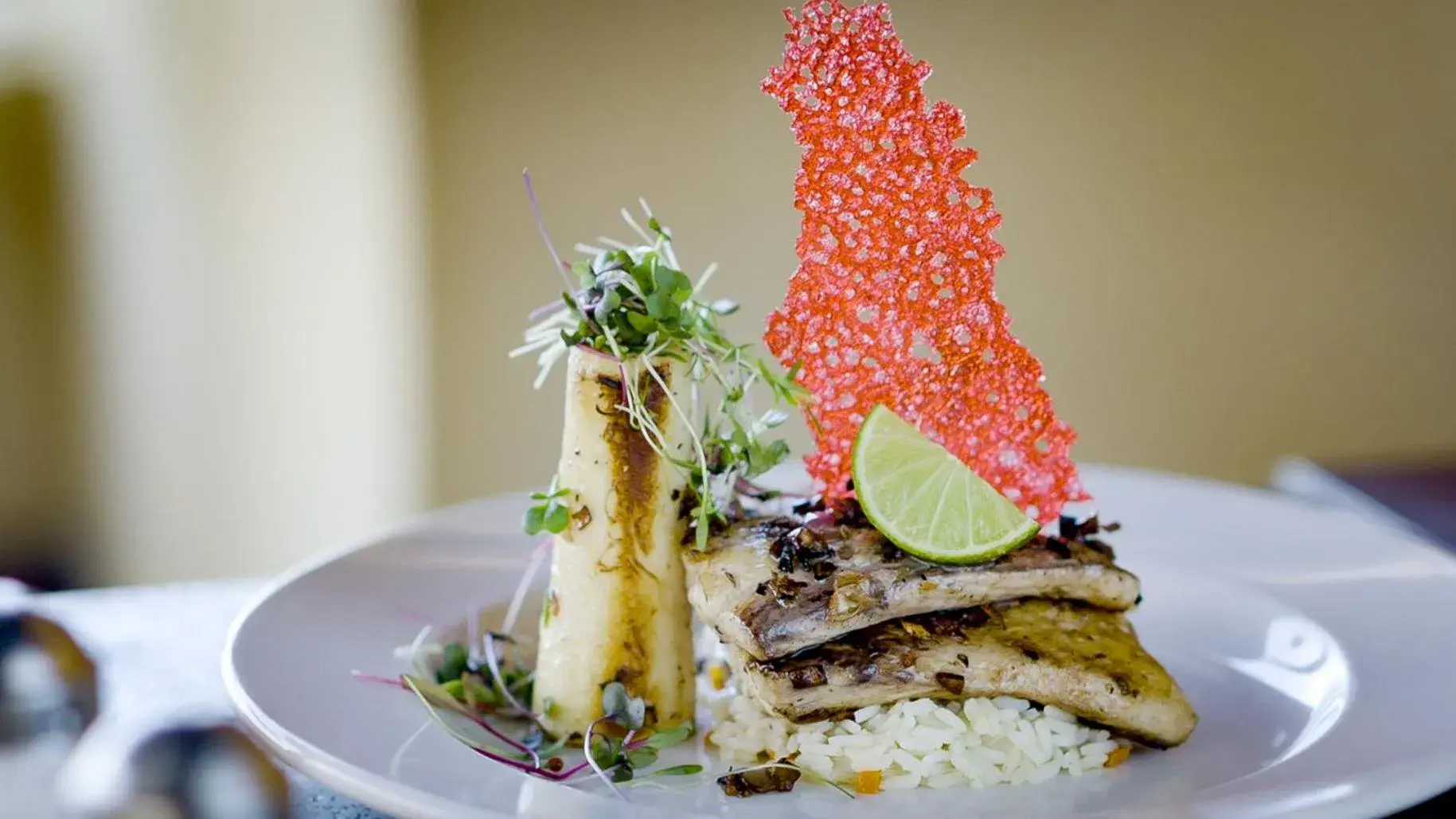 Restaurant/places to eat in Barceló Puerto Vallarta - All Inclusive Restaurant/places to eat in Barceló Puerto Vallarta - All Inclusive