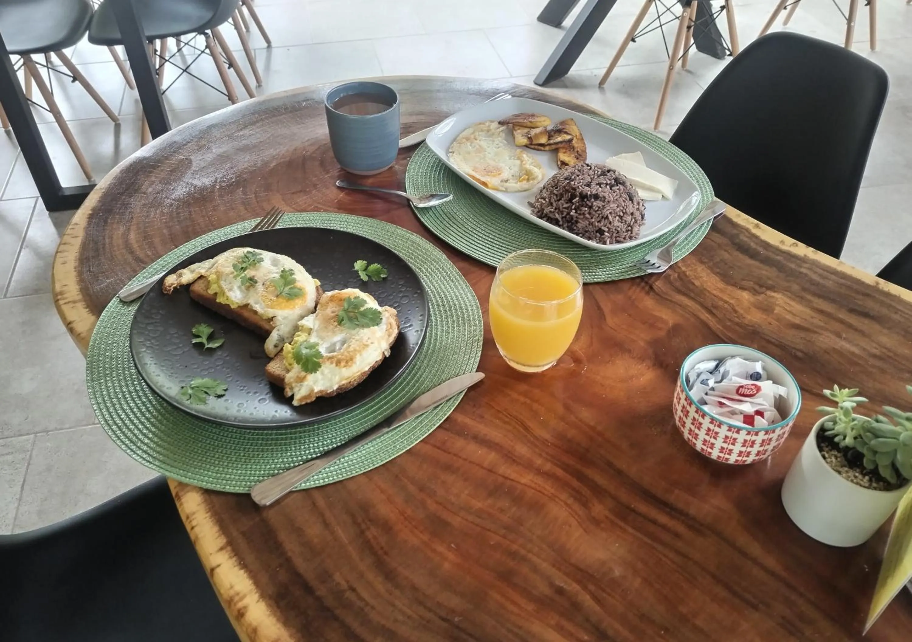 El Gecko Hotel & Tours