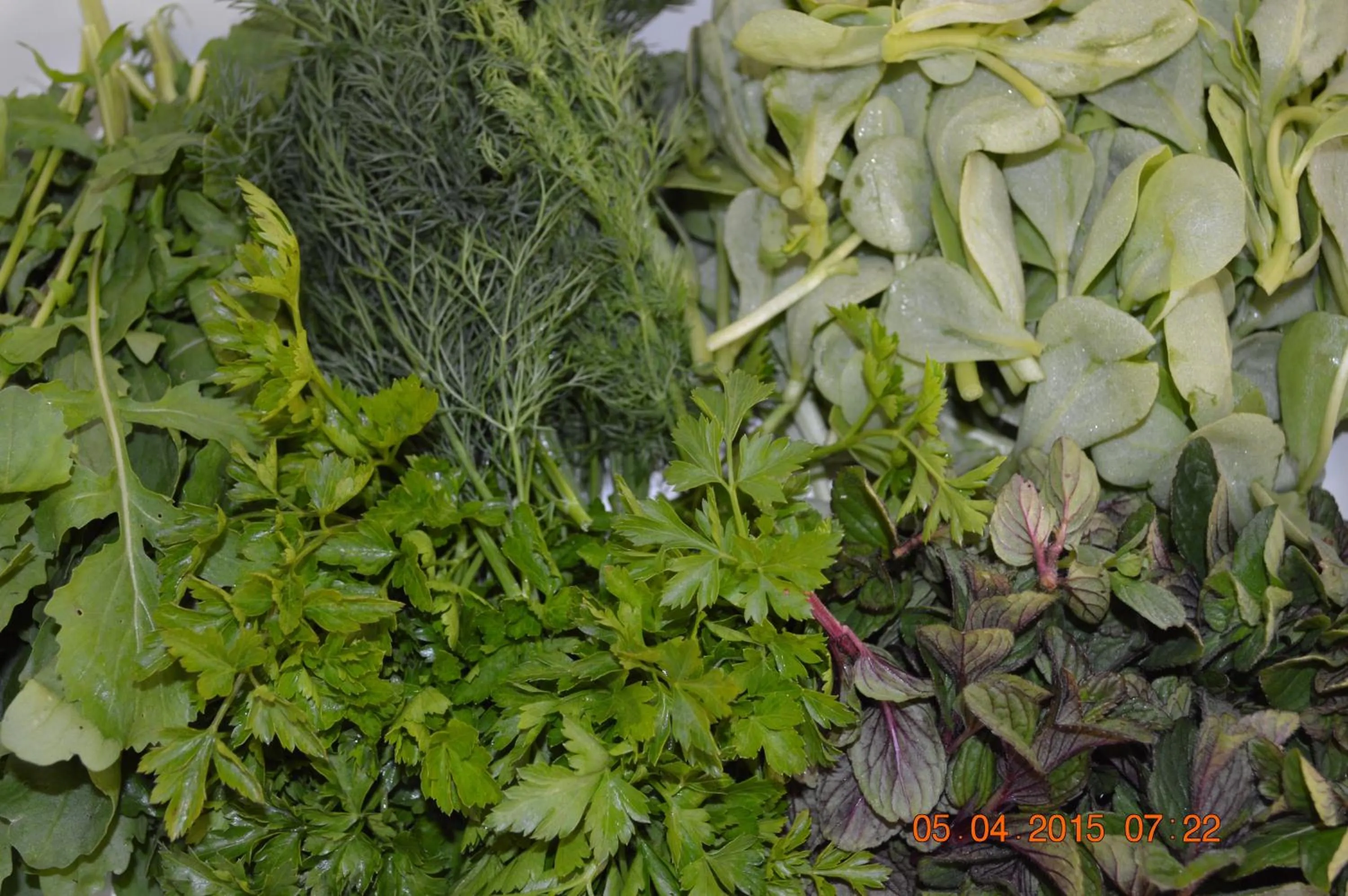 Food and drinks in Amasra Ceylin Otel