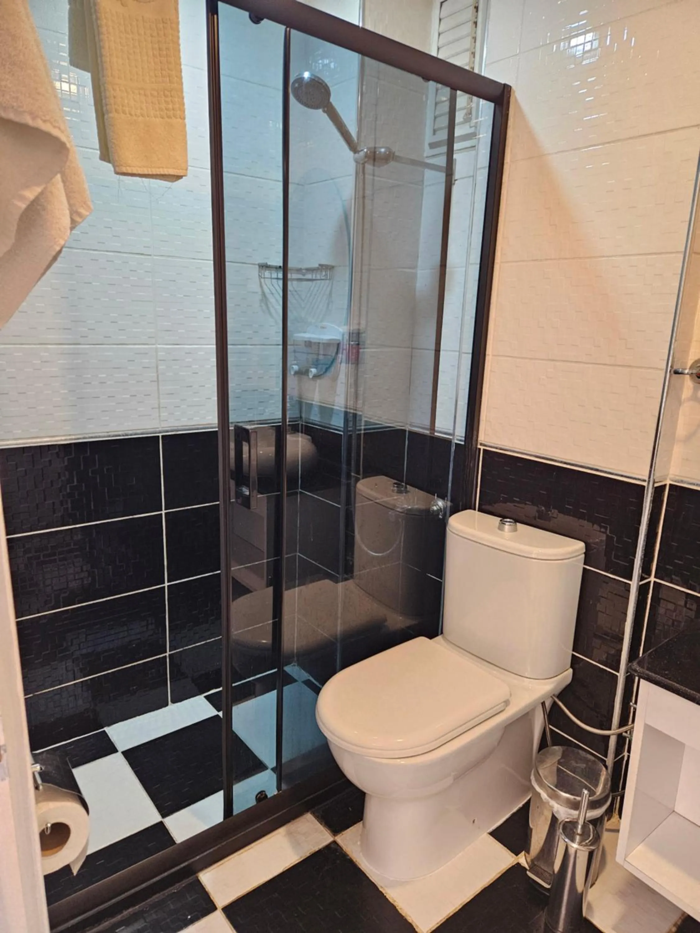 Shower in Lemon Residence