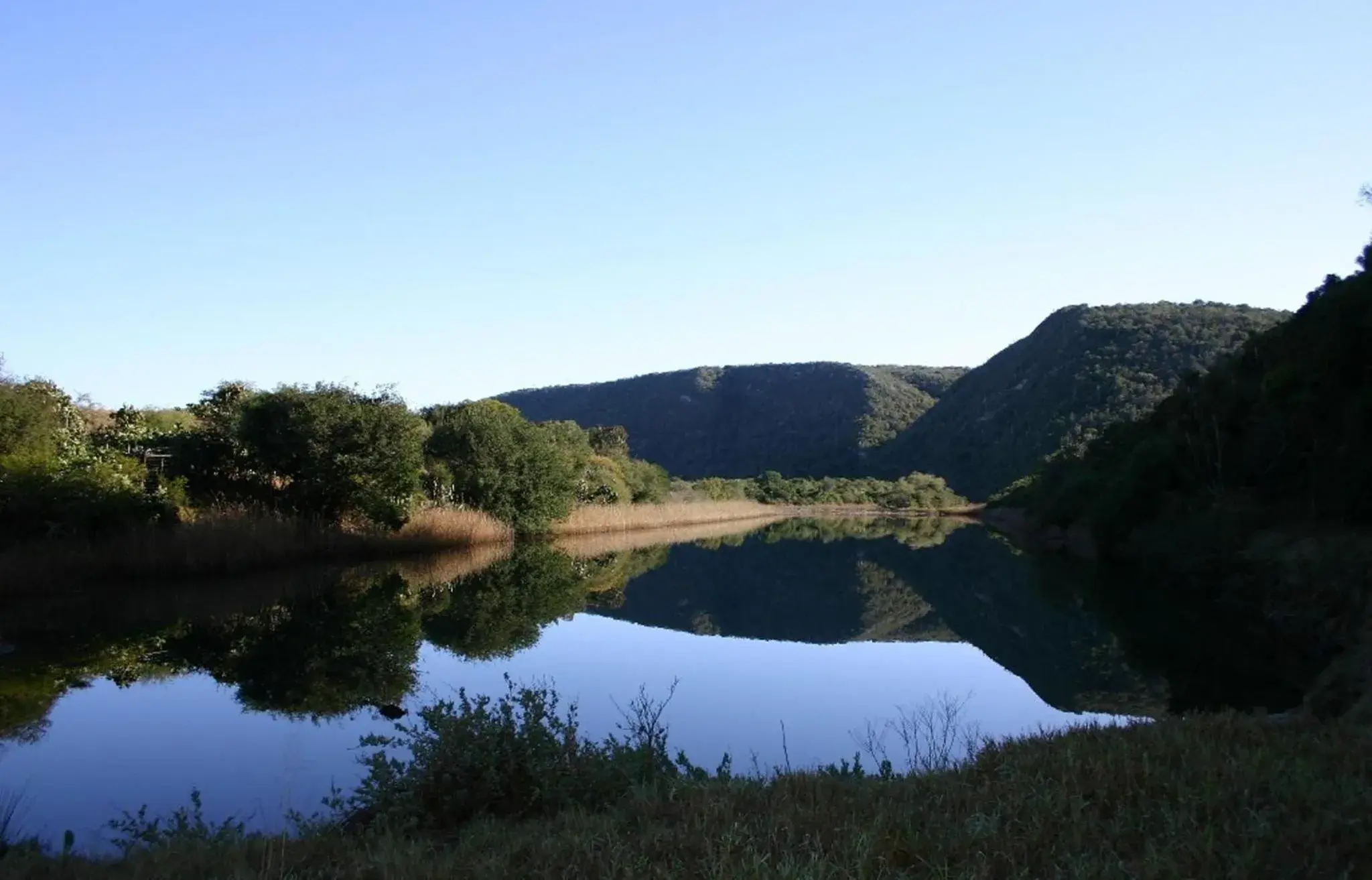 View (from property/room) in Sibuya Game Reserve and Lodge View (from property/room) in Sibuya Game Reserve and Lodge
