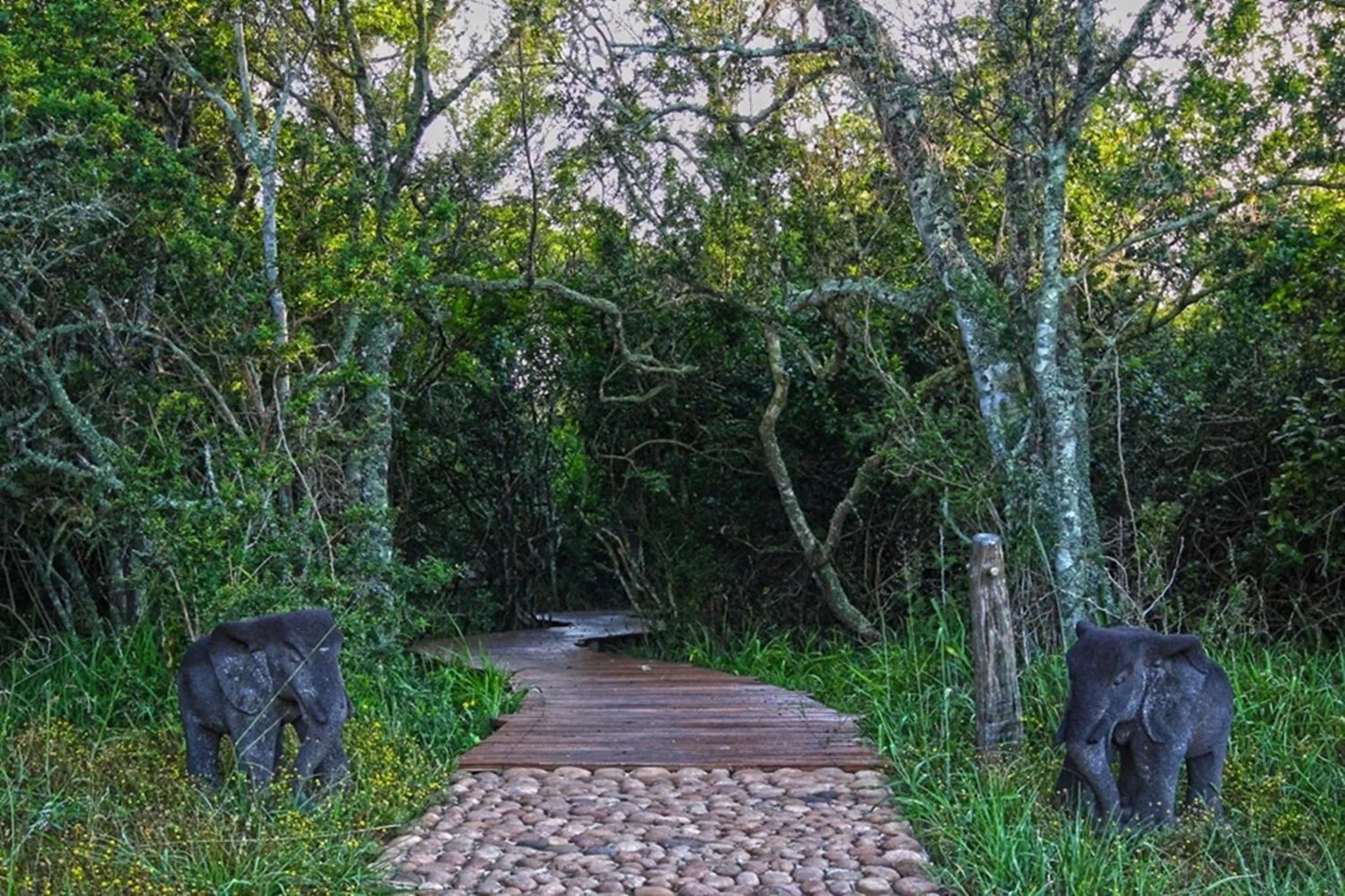 Garden in Sibuya Game Reserve and Lodge