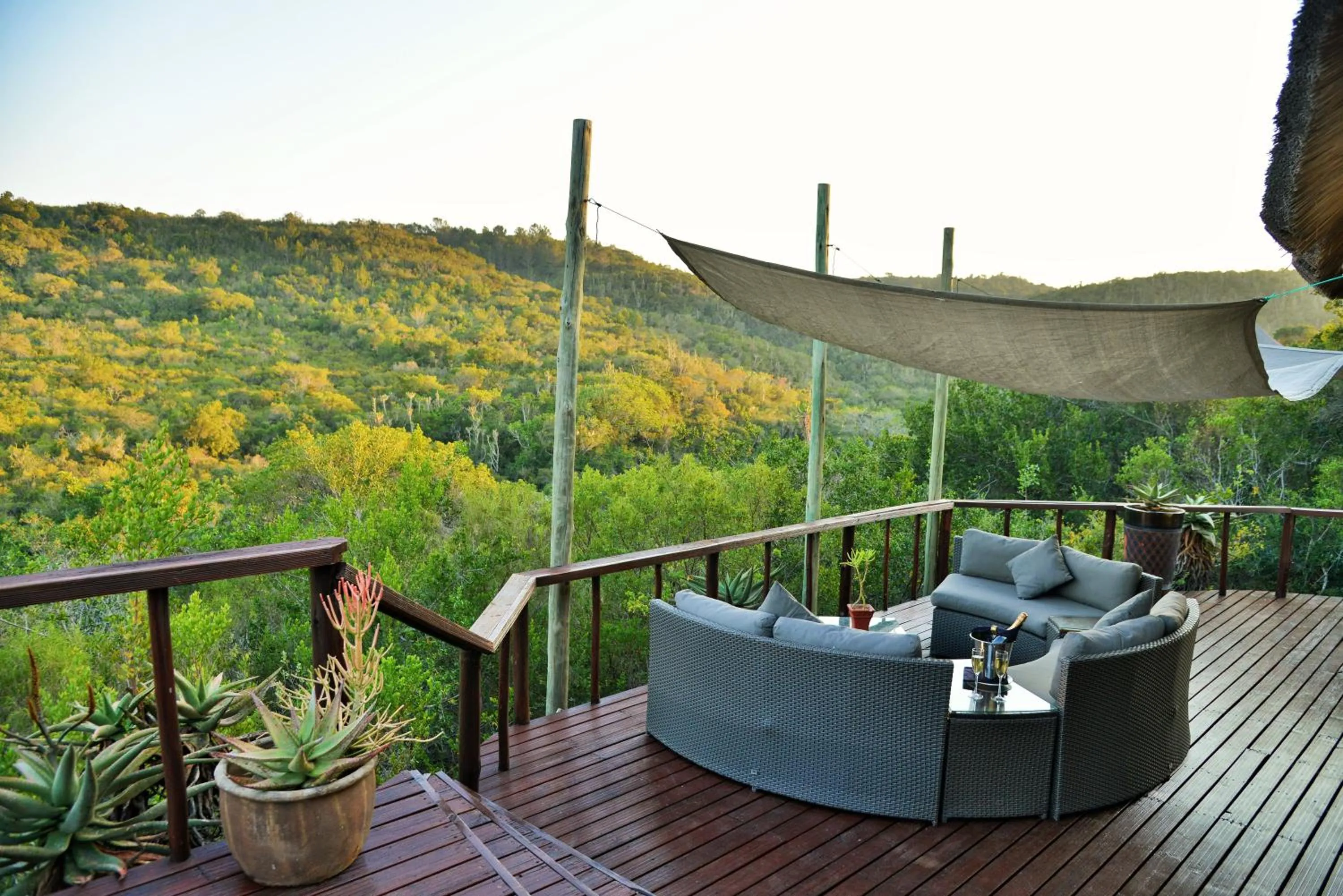 Balcony/Terrace in Sibuya Game Reserve and Lodge