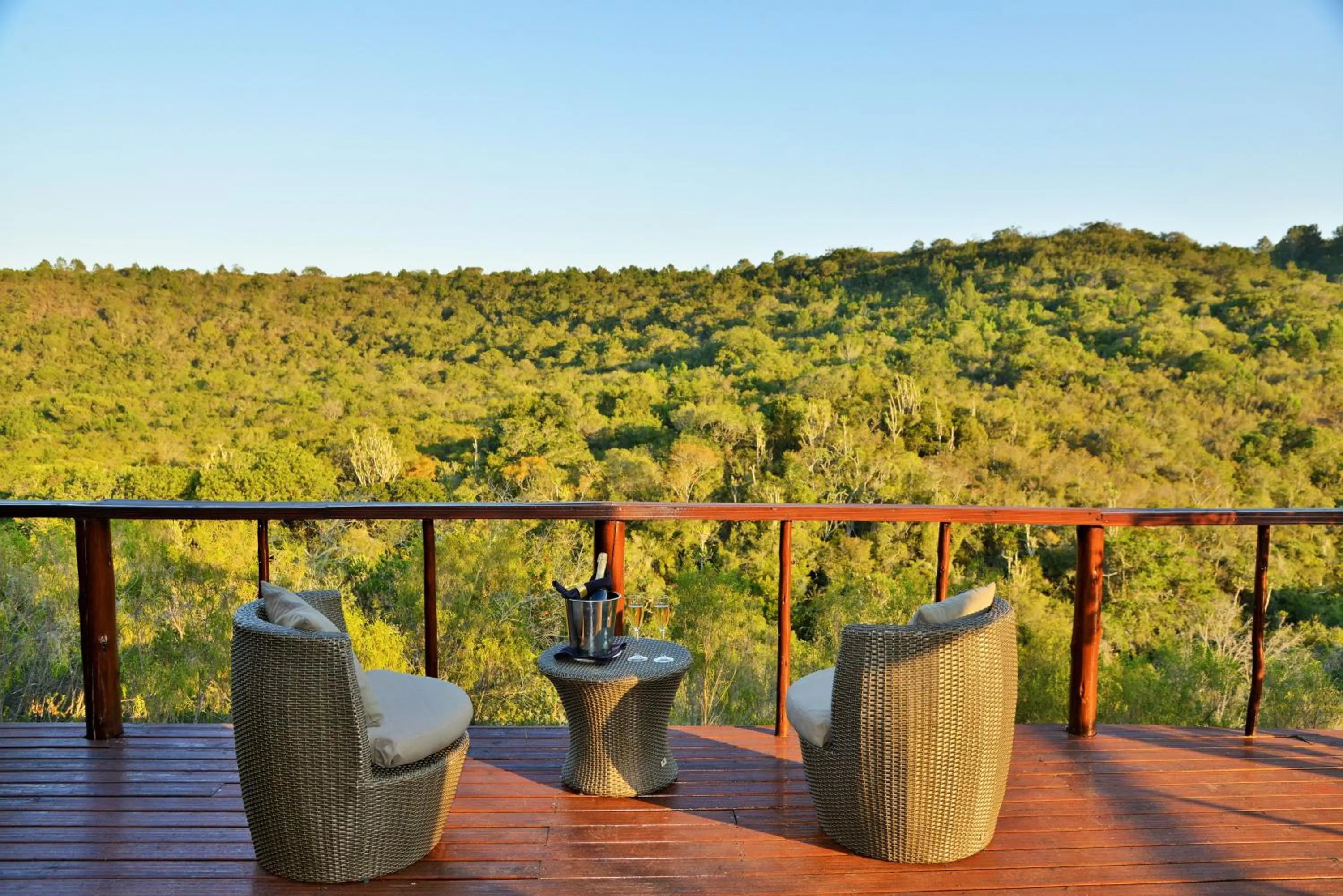 Balcony/Terrace in Sibuya Game Reserve and Lodge