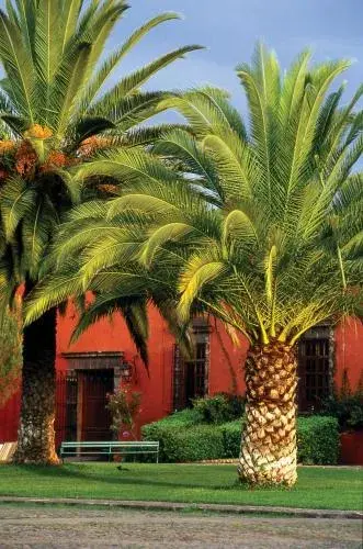 Fiesta Americana Hacienda Galindo Resort & Spa Fiesta Americana Hacienda Galindo Resort & Spa