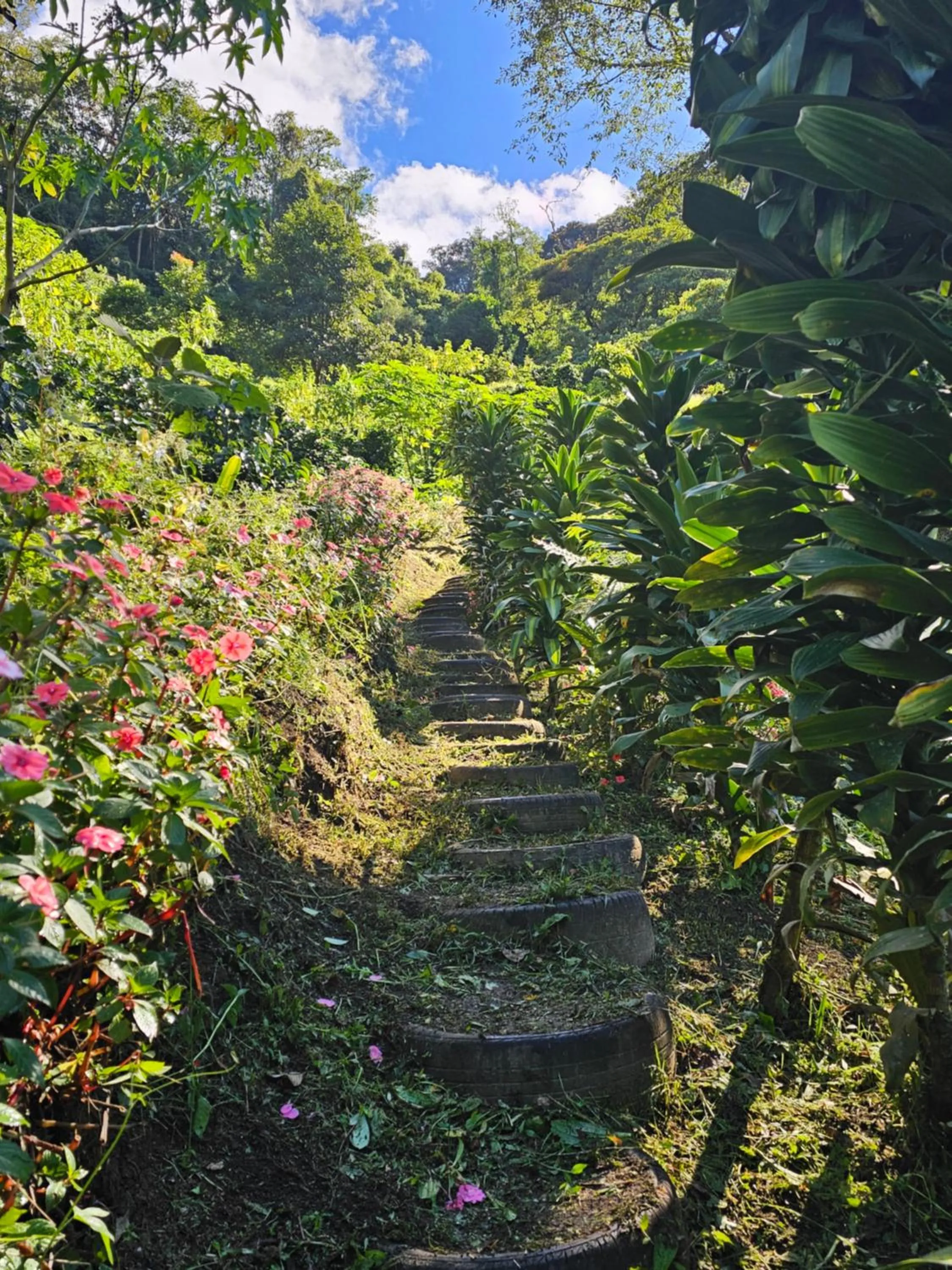 Natural landscape in Eco Horqueta