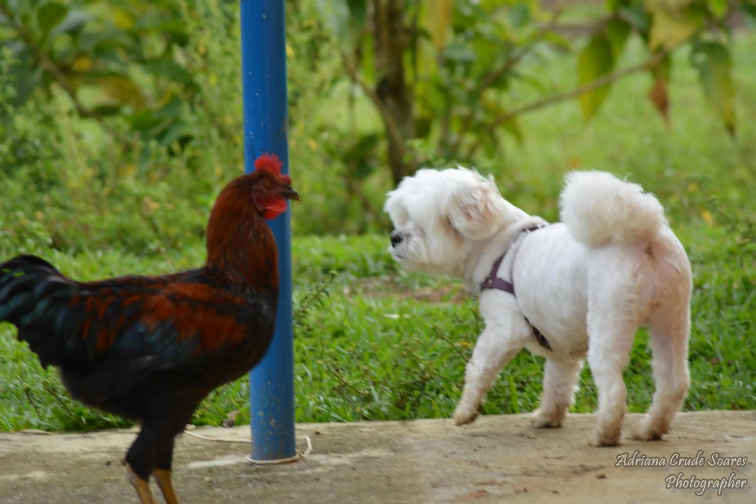 Day in Hotel Fazenda Sete Lagos