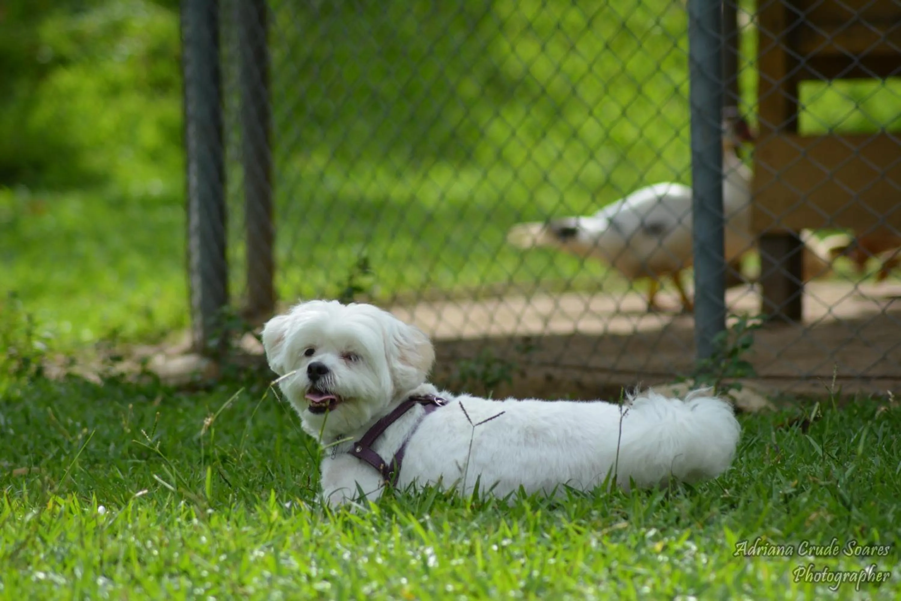 Day in Hotel Fazenda Sete Lagos